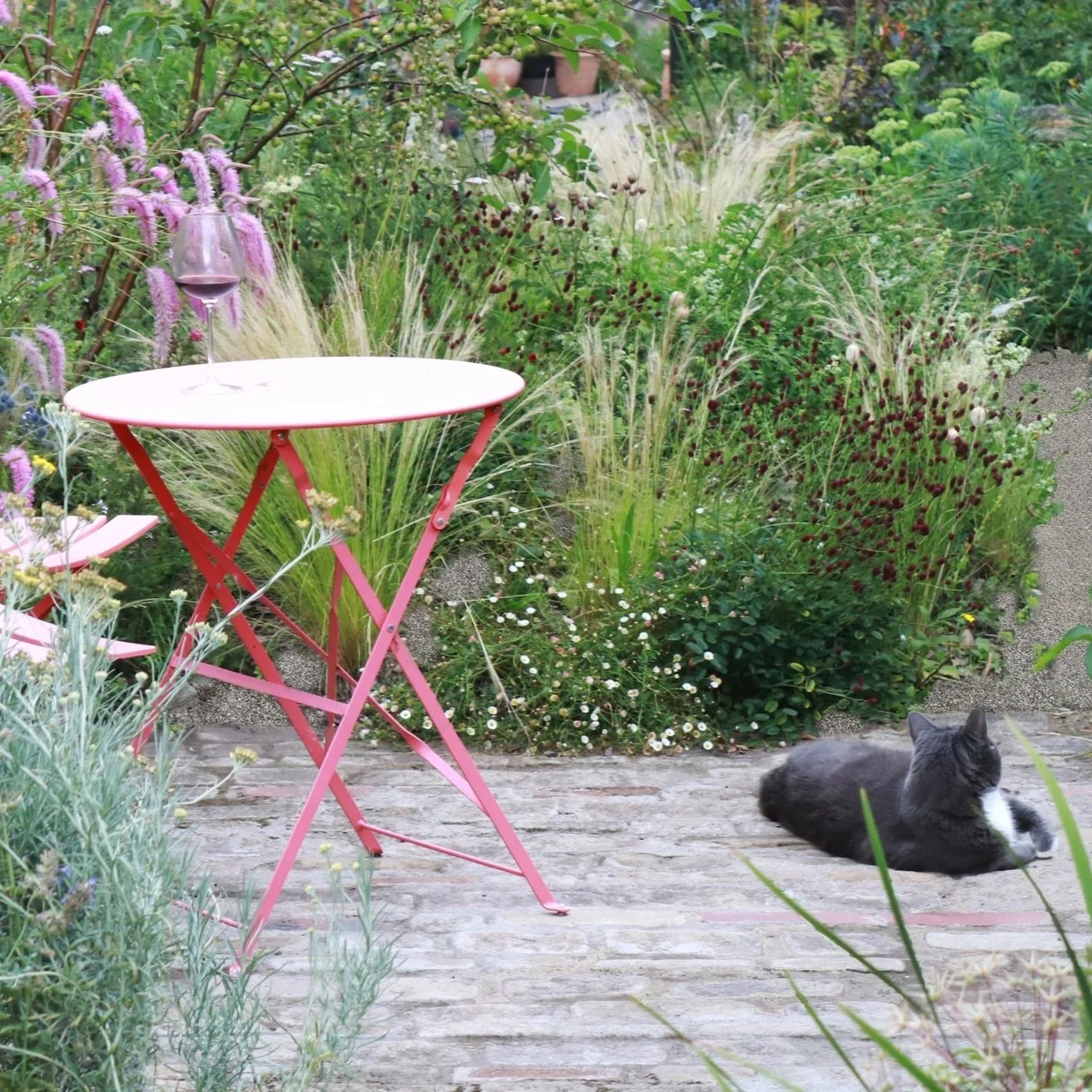 Urban garden for a wildlife lover in Derbyshire
