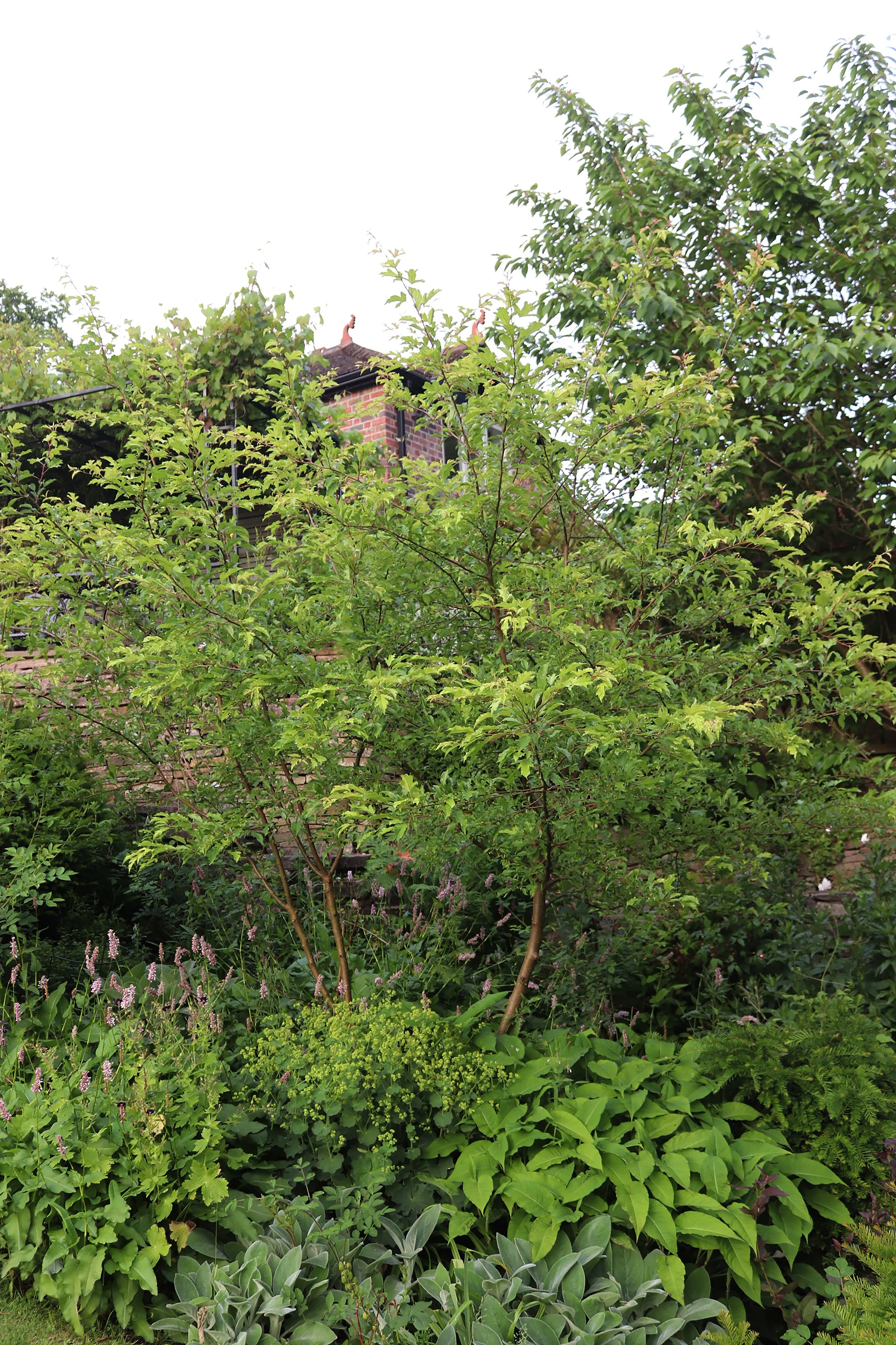 IMG_1517 high res.jpg