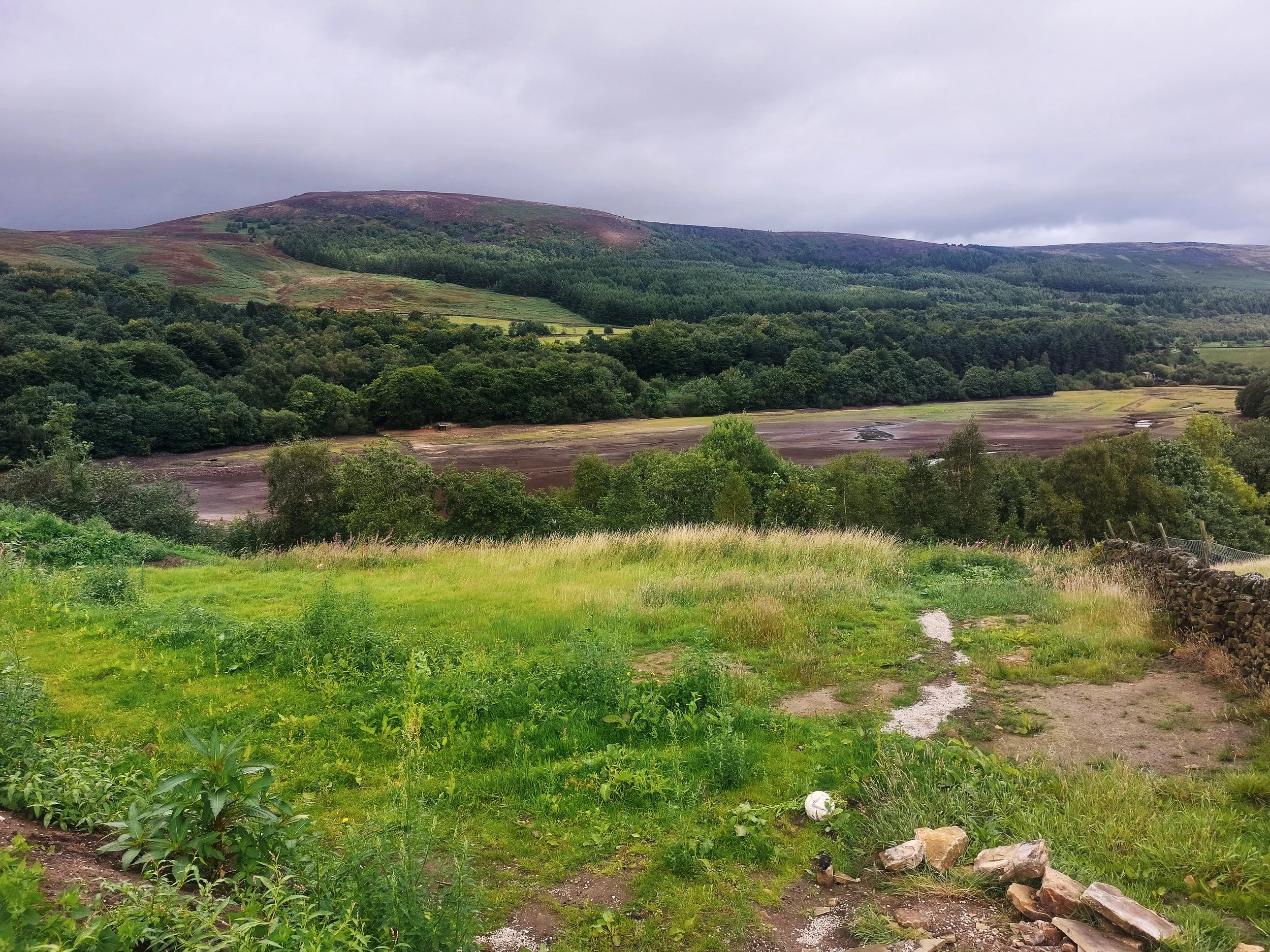 Site view.jpg