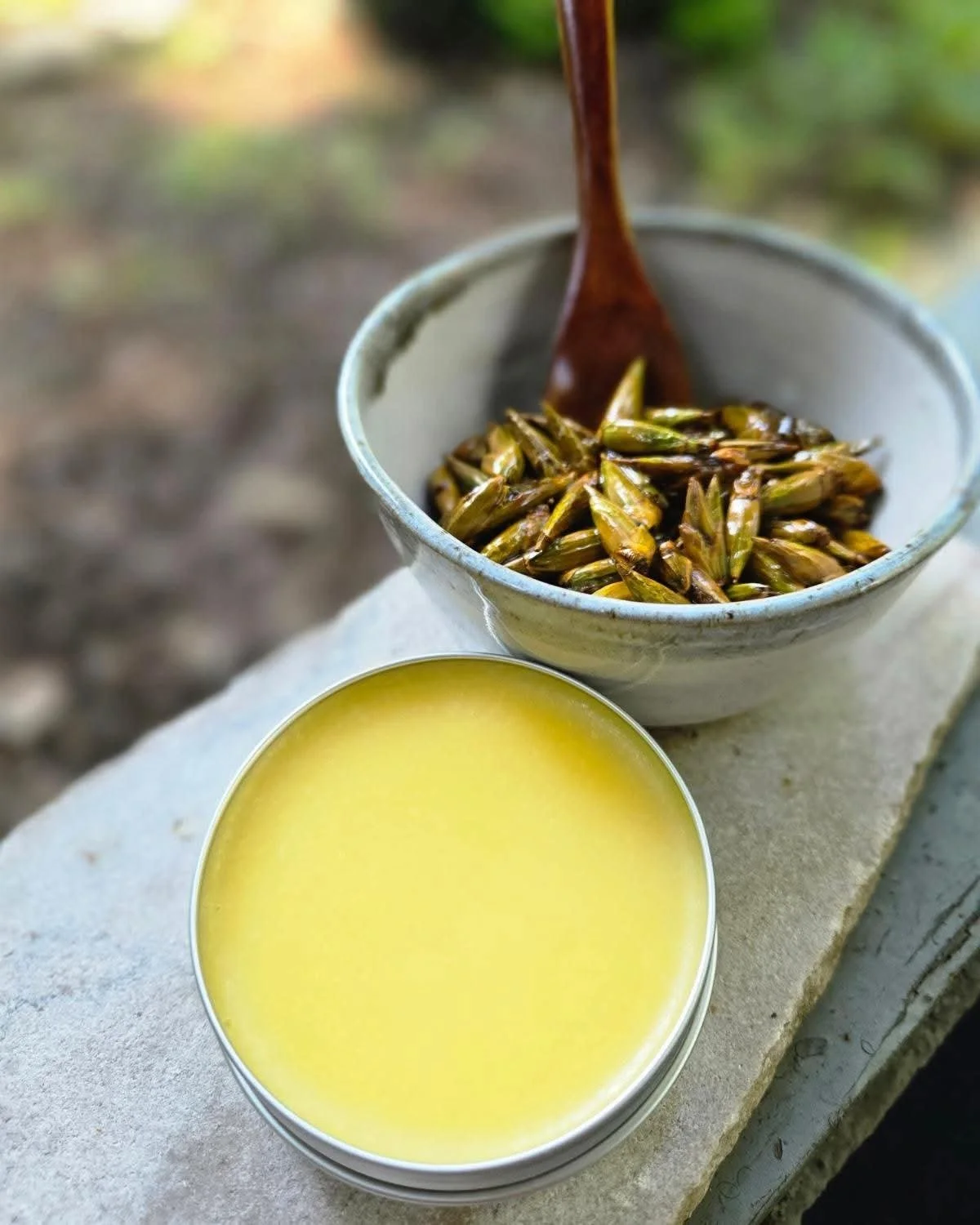 Bam Gilley Salve (Balm of Gilead)