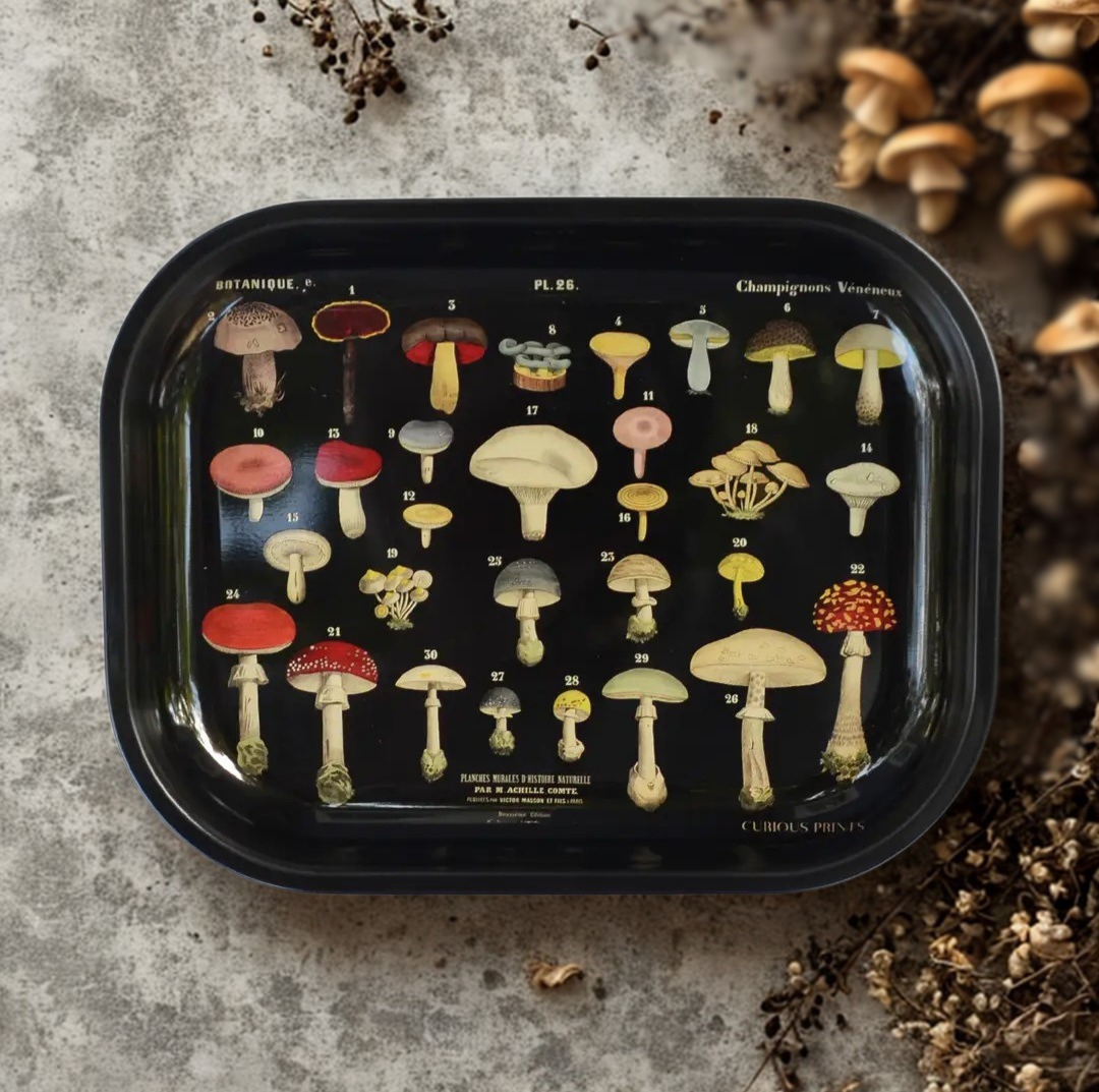 Champignons Vénéneux Tray