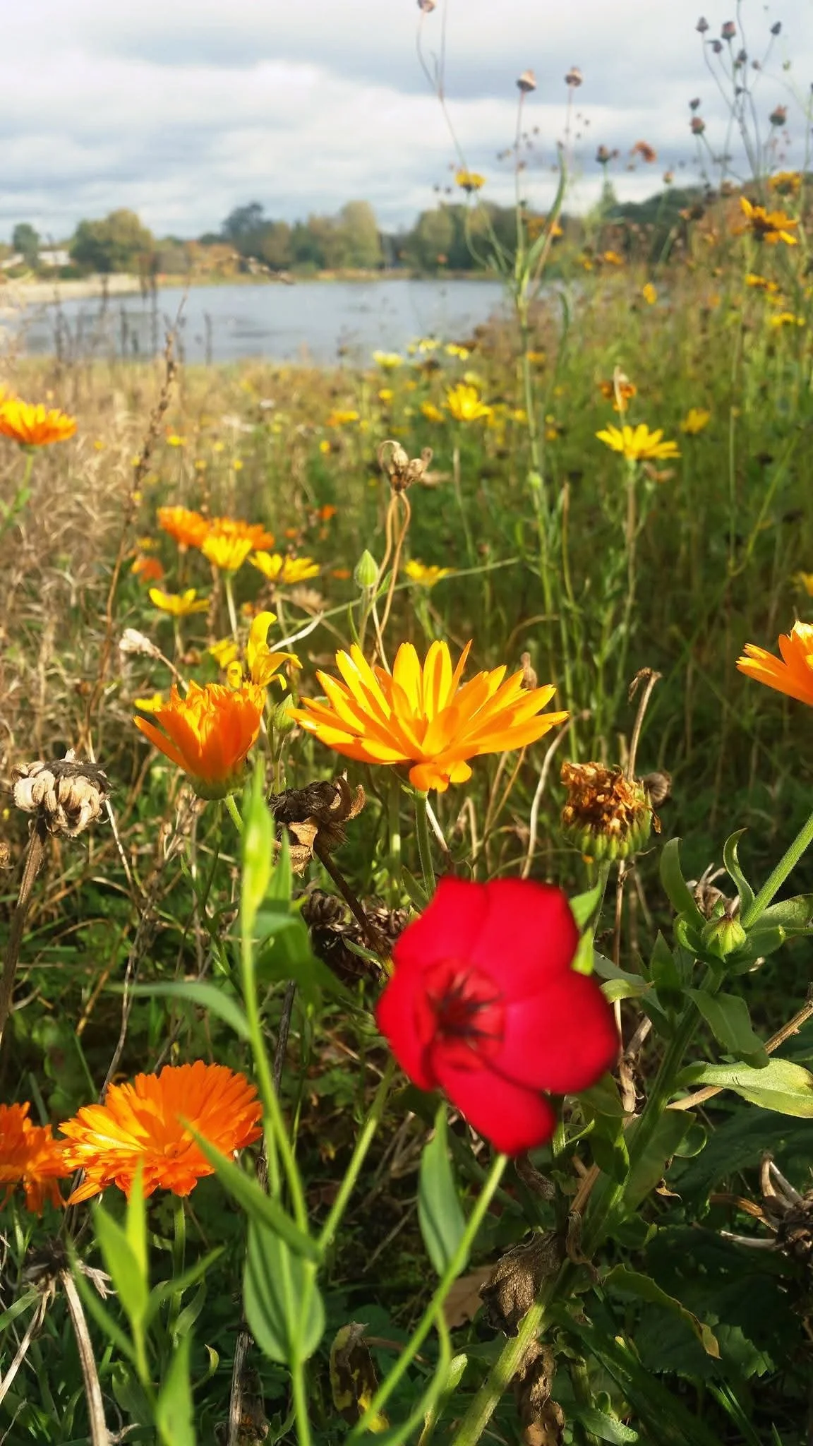 Bring Yourself to Therapy 