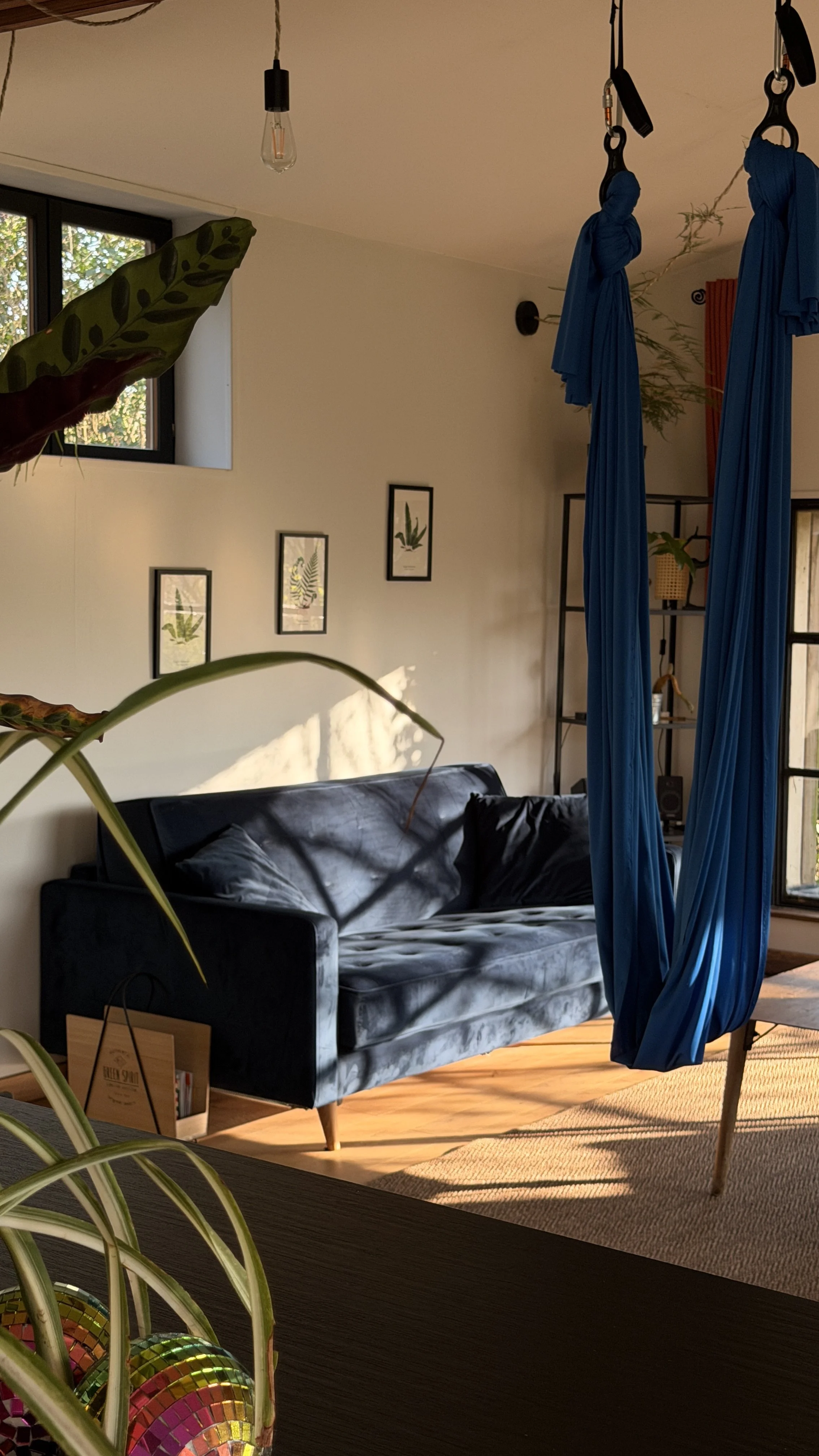 Salon moderne avec canapé noir, plantes, cadre avec illustrations de plantes, éclairage suspendu et tissu aérien pour yoga.