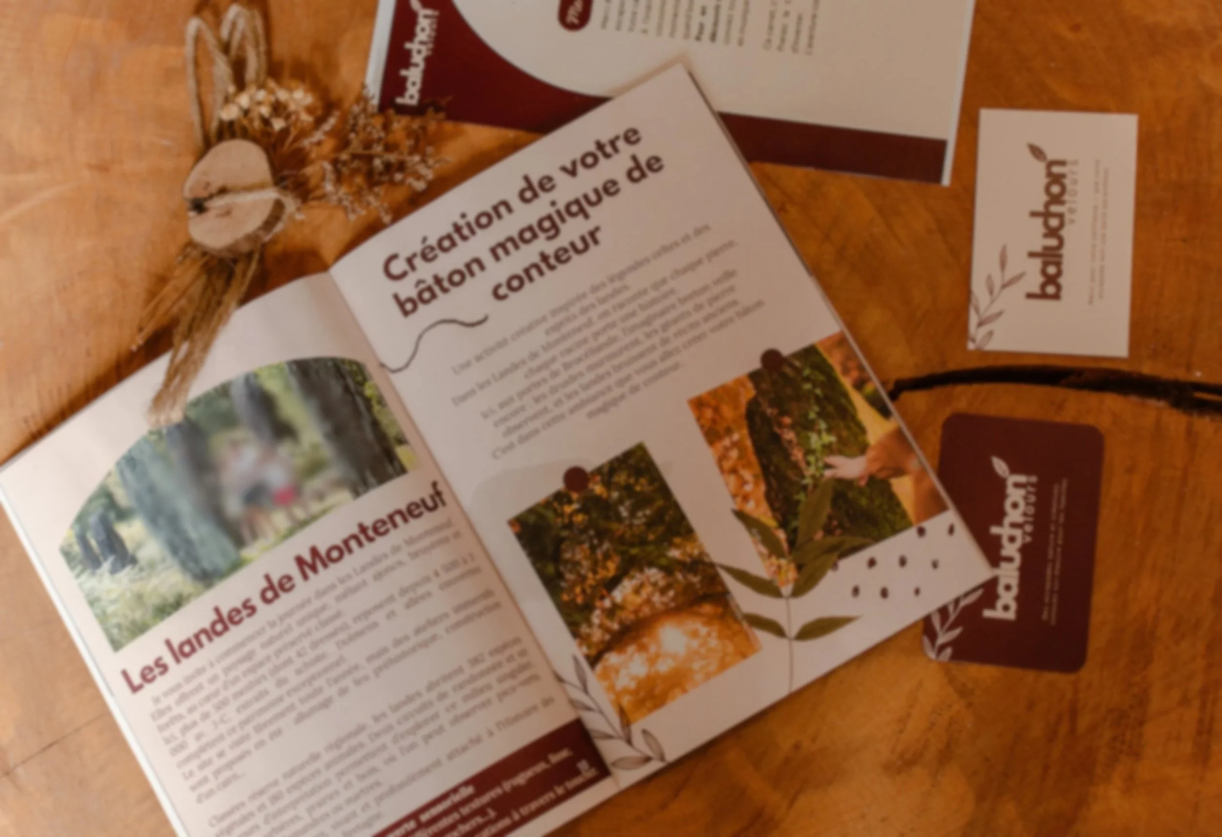 Carnet d'aventure ouvert, placé sur une table en bois avec deux cartes de visite