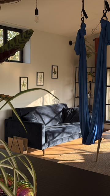 Salon intérieur avec un canapé gris, des plantes, des cadres avec des illustrations de plantes, et une structure pour des tissus d'acrobatie bleus suspendus au plafond, lumière naturelle entrant par les fenêtres.