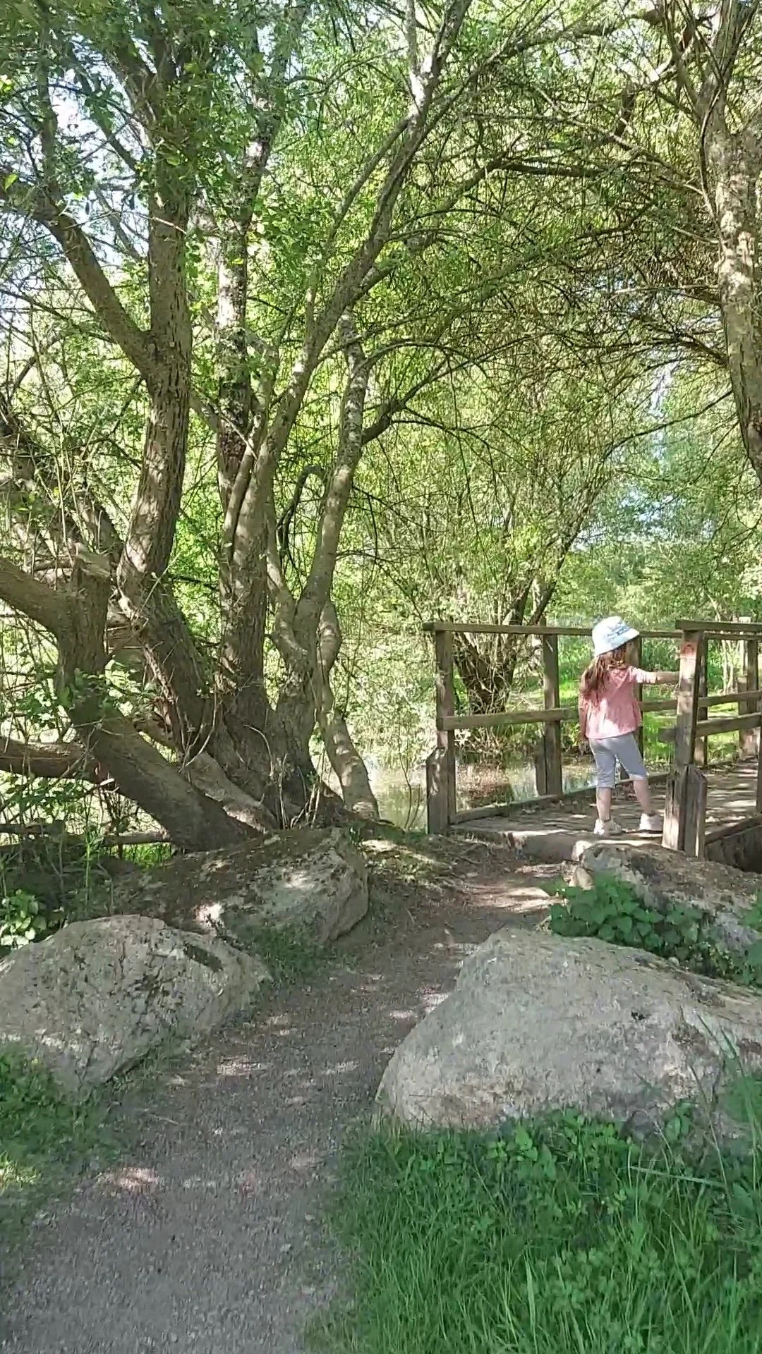 enfant sur pont rivière forêt rochers