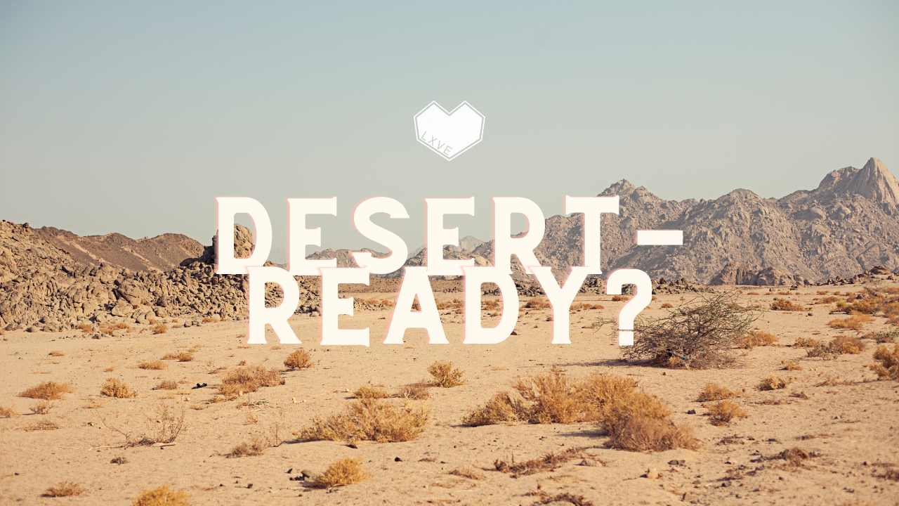 Vegas Beard Mastery: 5 Tips for Desert-Ready Style