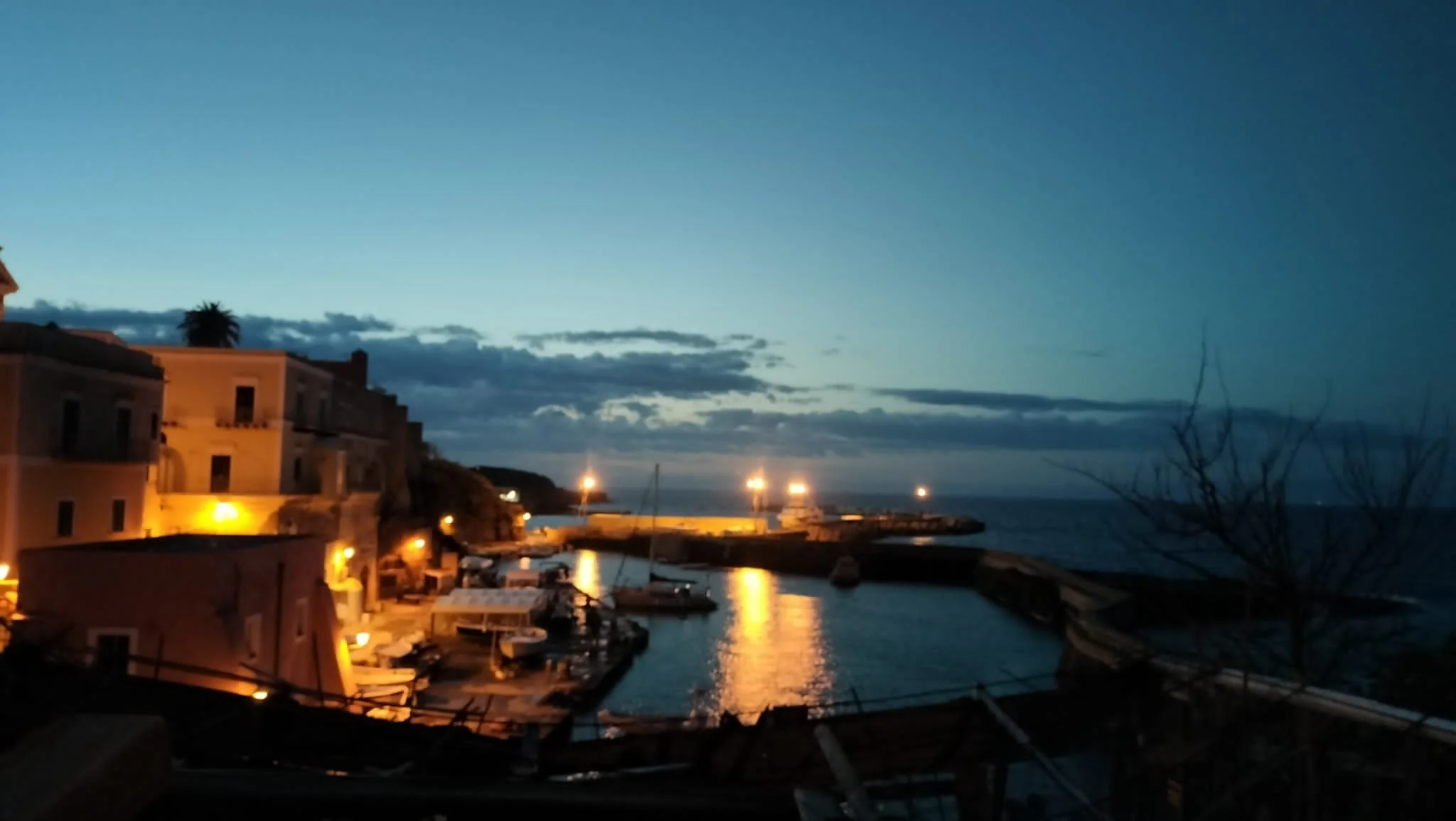 ventotene, birdwatching, birdwatcher, migrazione, uccelli, scogliere, falesie