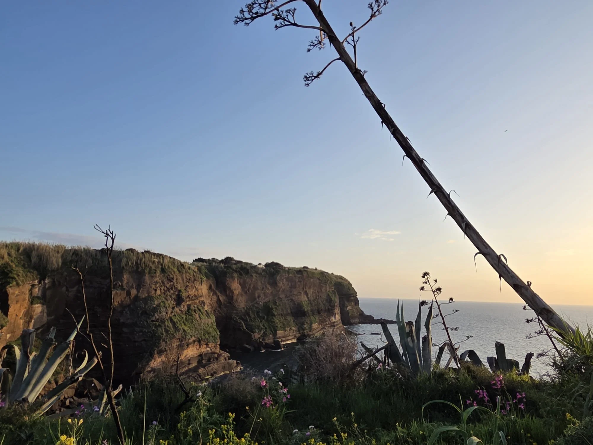 ventotene, isola, falesie, mare, cielo, uccelli, migrazione, birdwatching, viaggio a ventotene