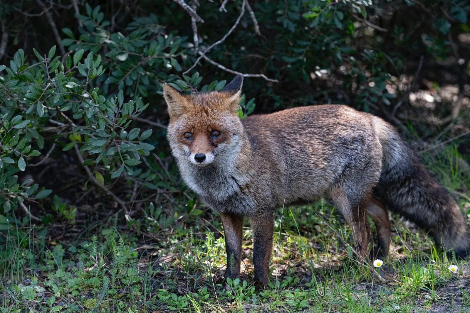 WhatsApp Image 2025-09-11 at 13.49.57.jpeg