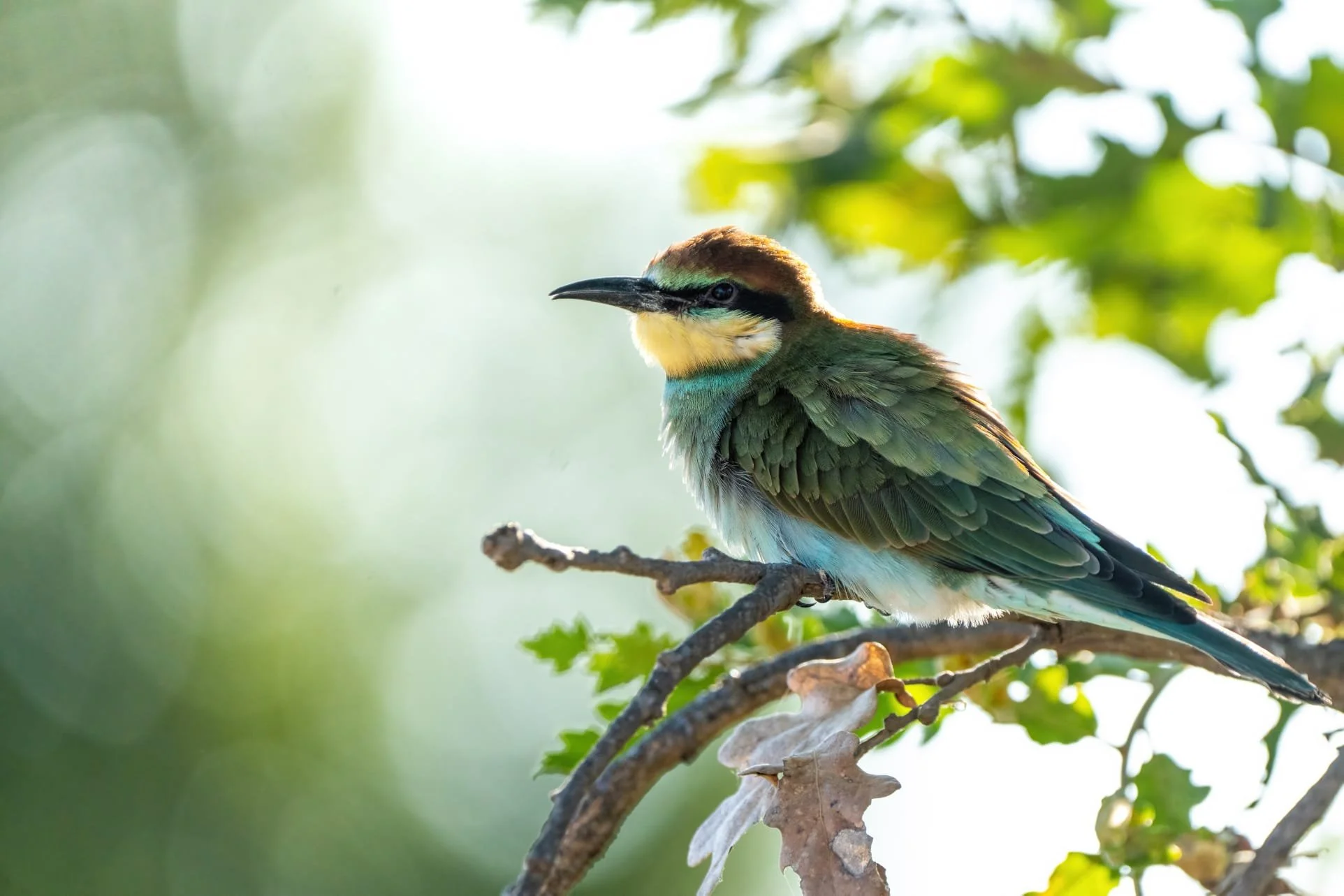 WhatsApp Image 2025-04-28 at 10.27.33.jpeg