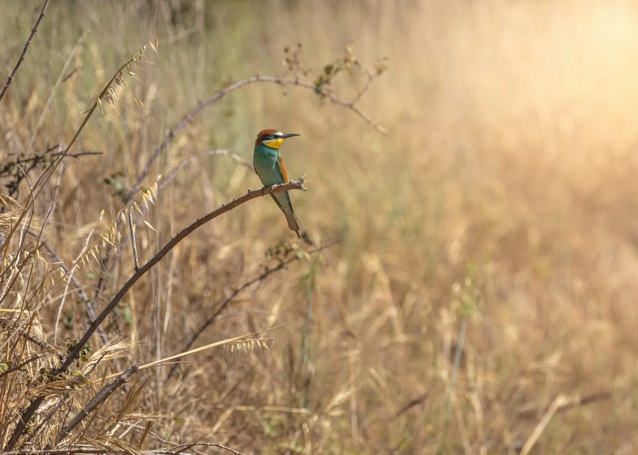 WhatsApp Image 2025-04-28 at 10.28.17 (1).jpeg