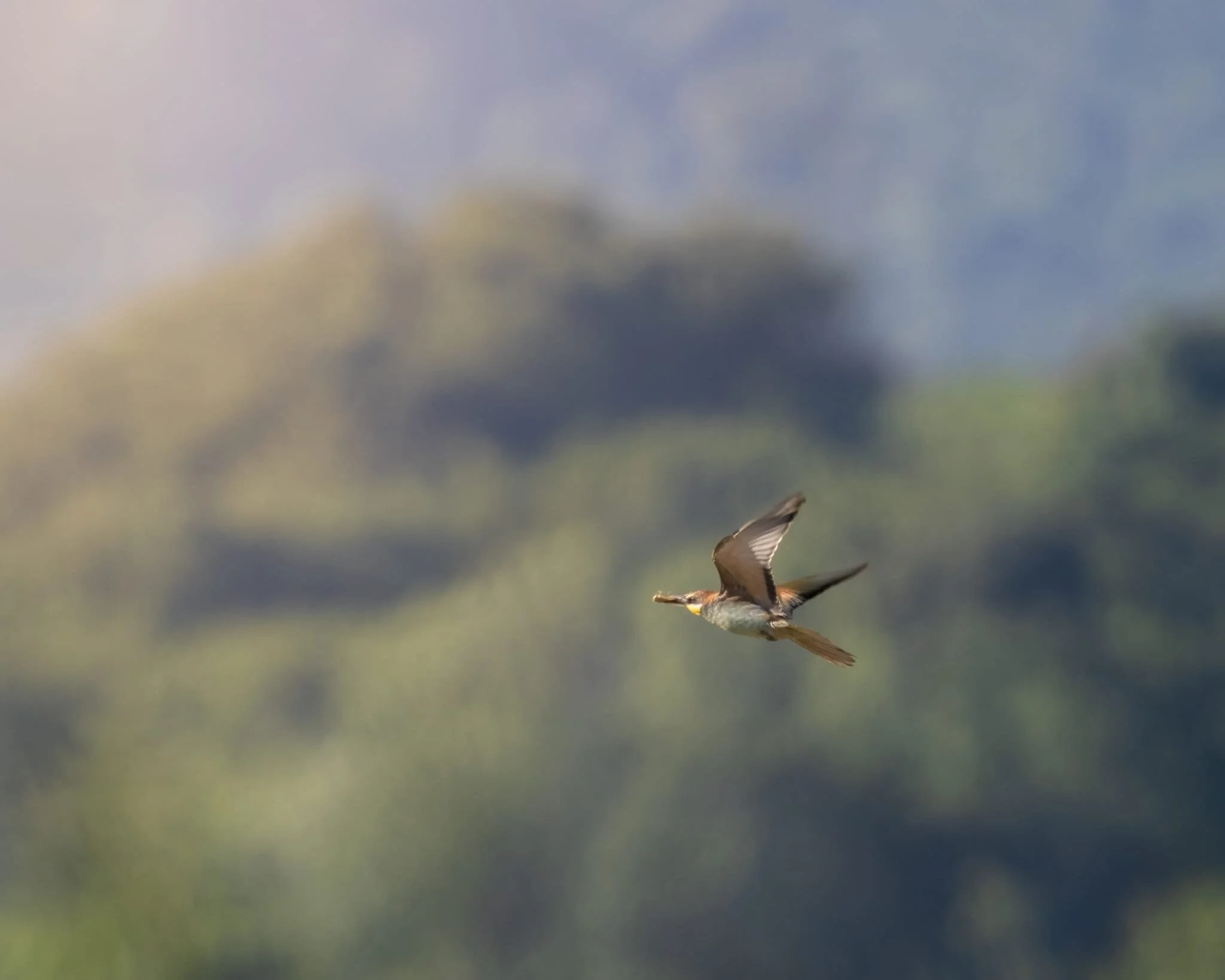 WhatsApp Image 2025-04-28 at 10.28.17.jpeg