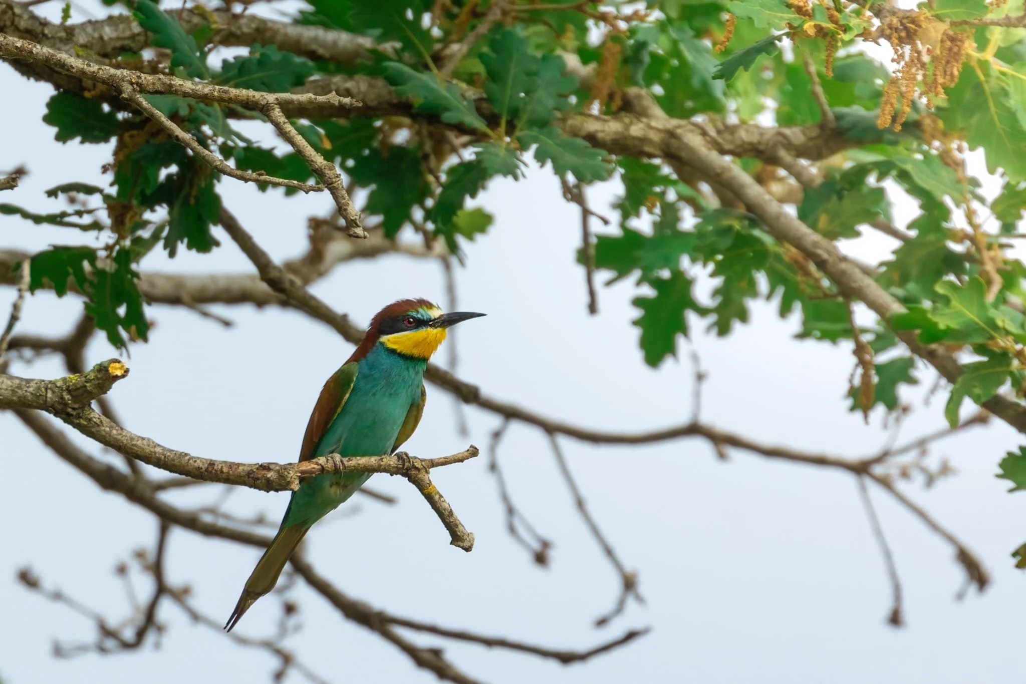 WhatsApp Image 2025-04-28 at 10.28.18.jpeg