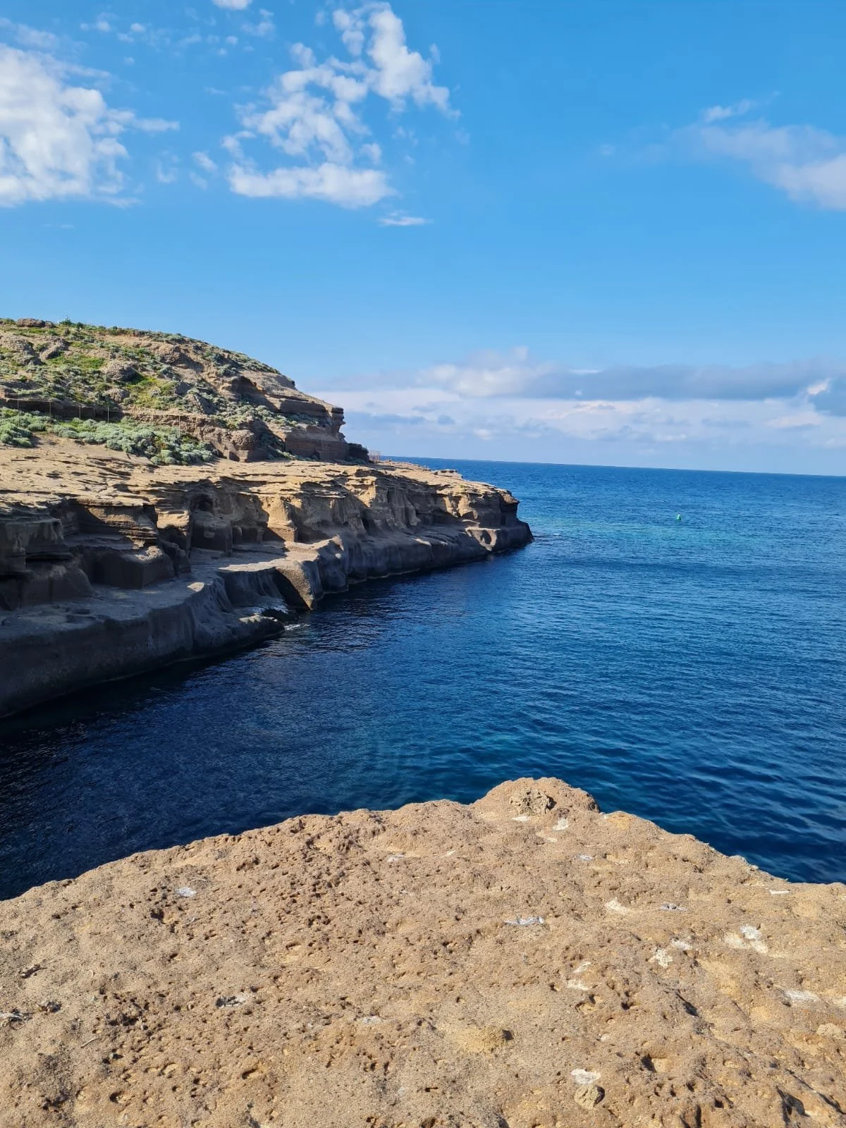 WhatsApp Image 2025-10-20 at 14.30.18 (1).jpeg