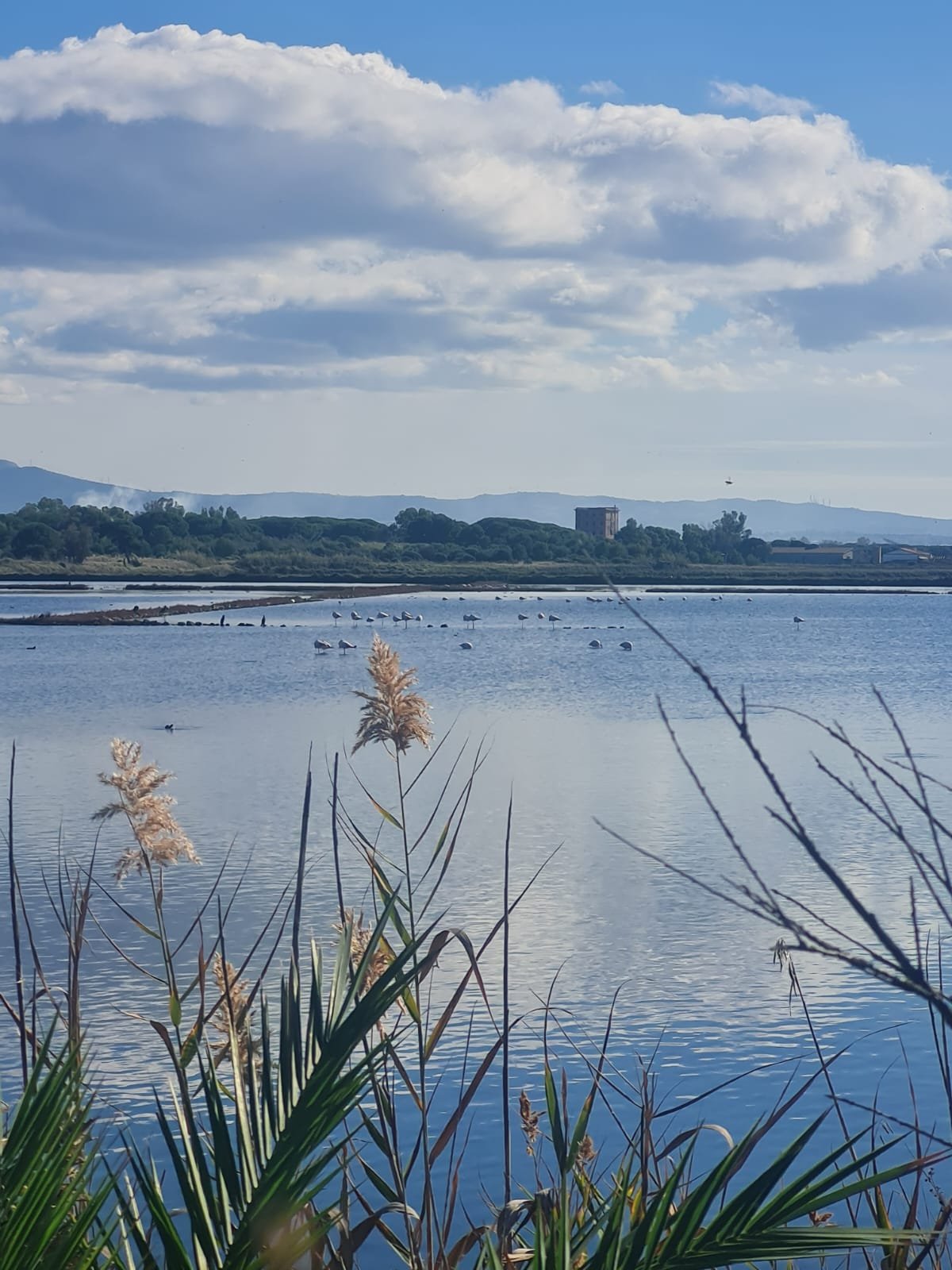 WhatsApp Image 2025-11-09 at 18.59.29 (1).jpeg