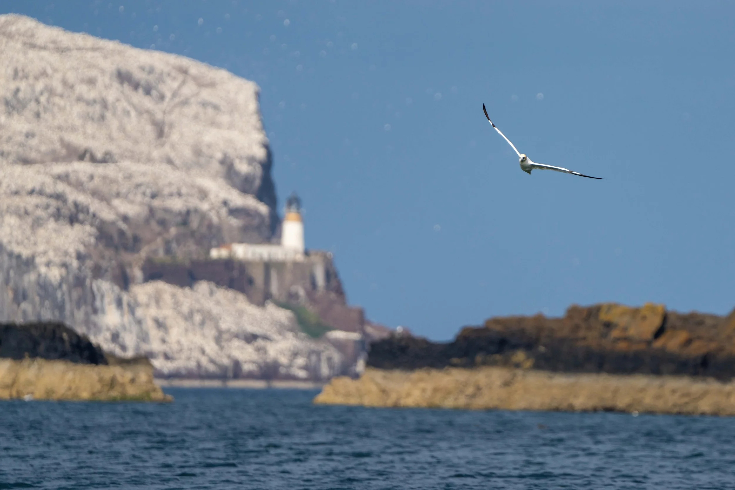 Scozia- Tour Naturalistico e Fotografico