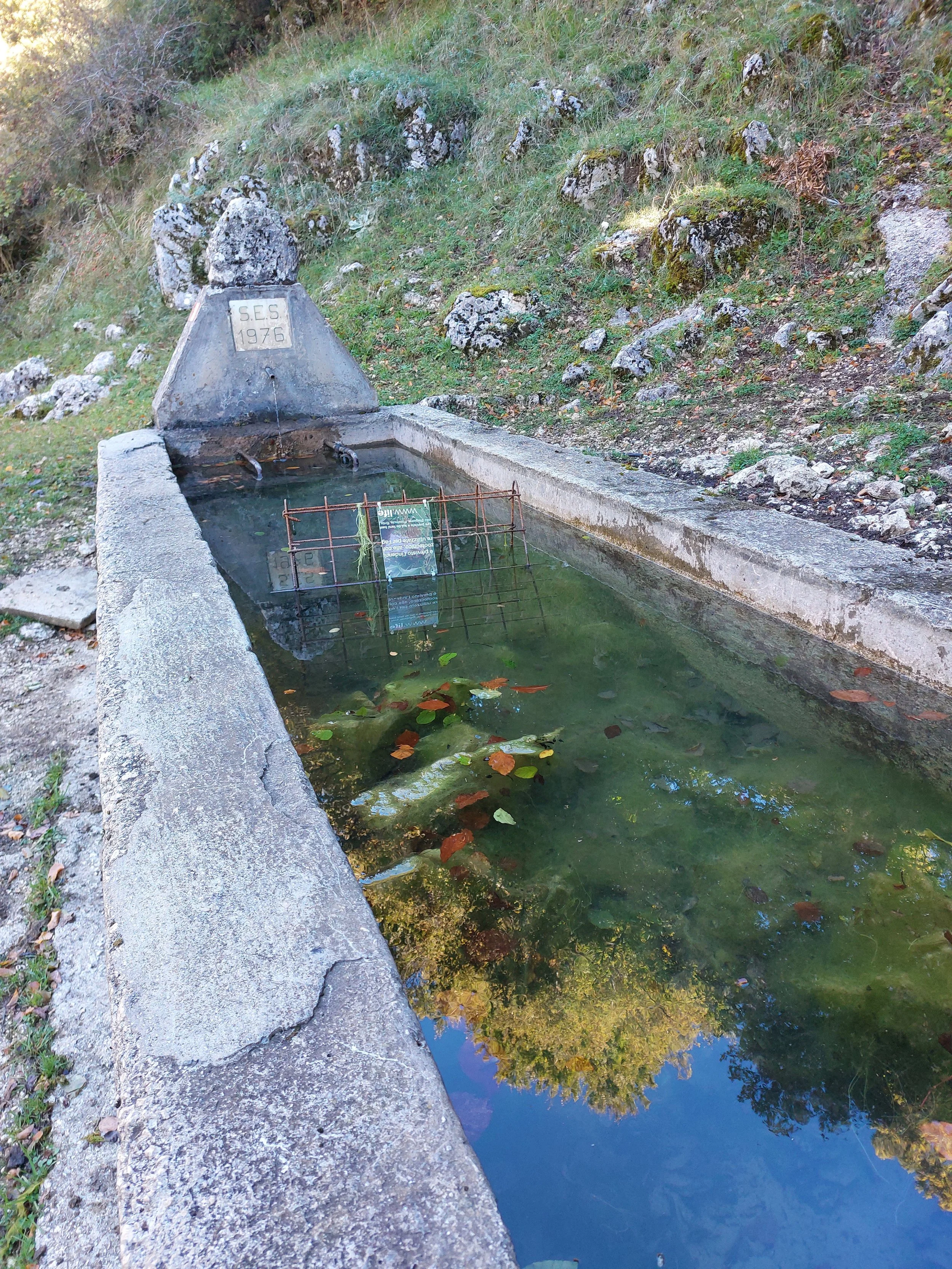 I fontanili : Sorgenti di vita tra ecologia e tradizione