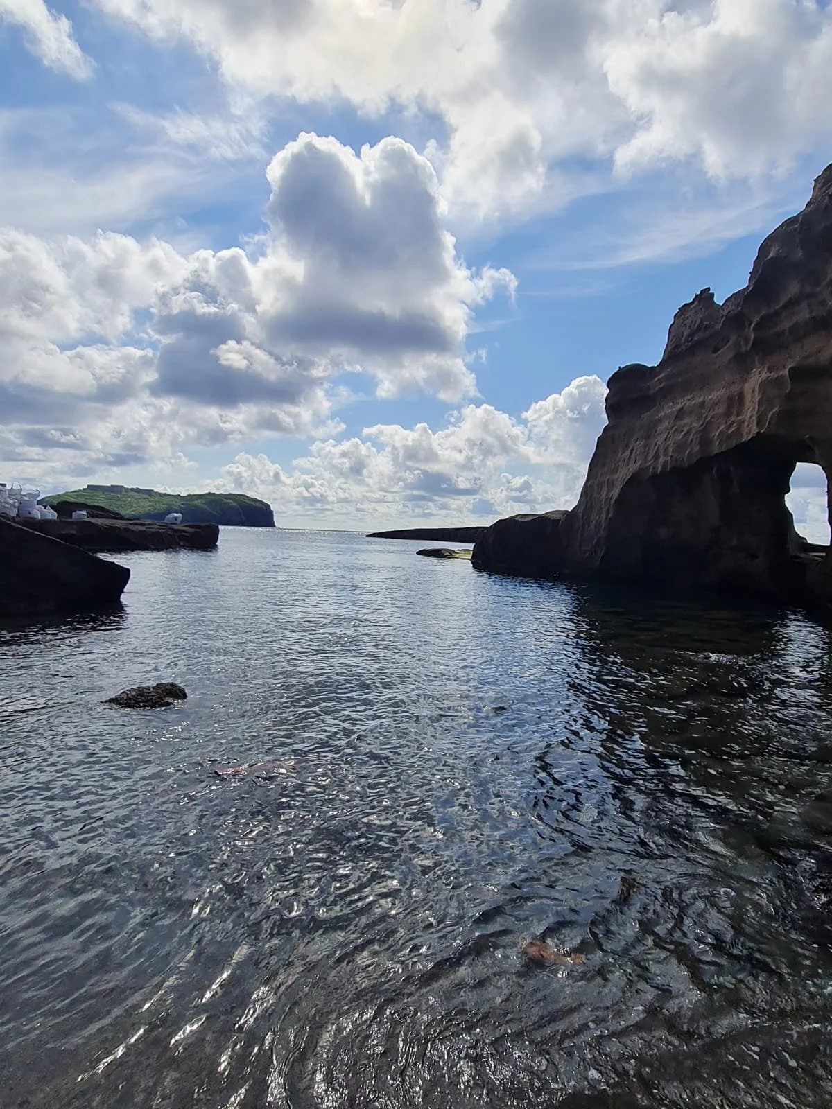 VENTOTENE - L'ISOLA DELLE MERAVIGLIE ALATE- Un viaggio di Incontro con la Migrazione