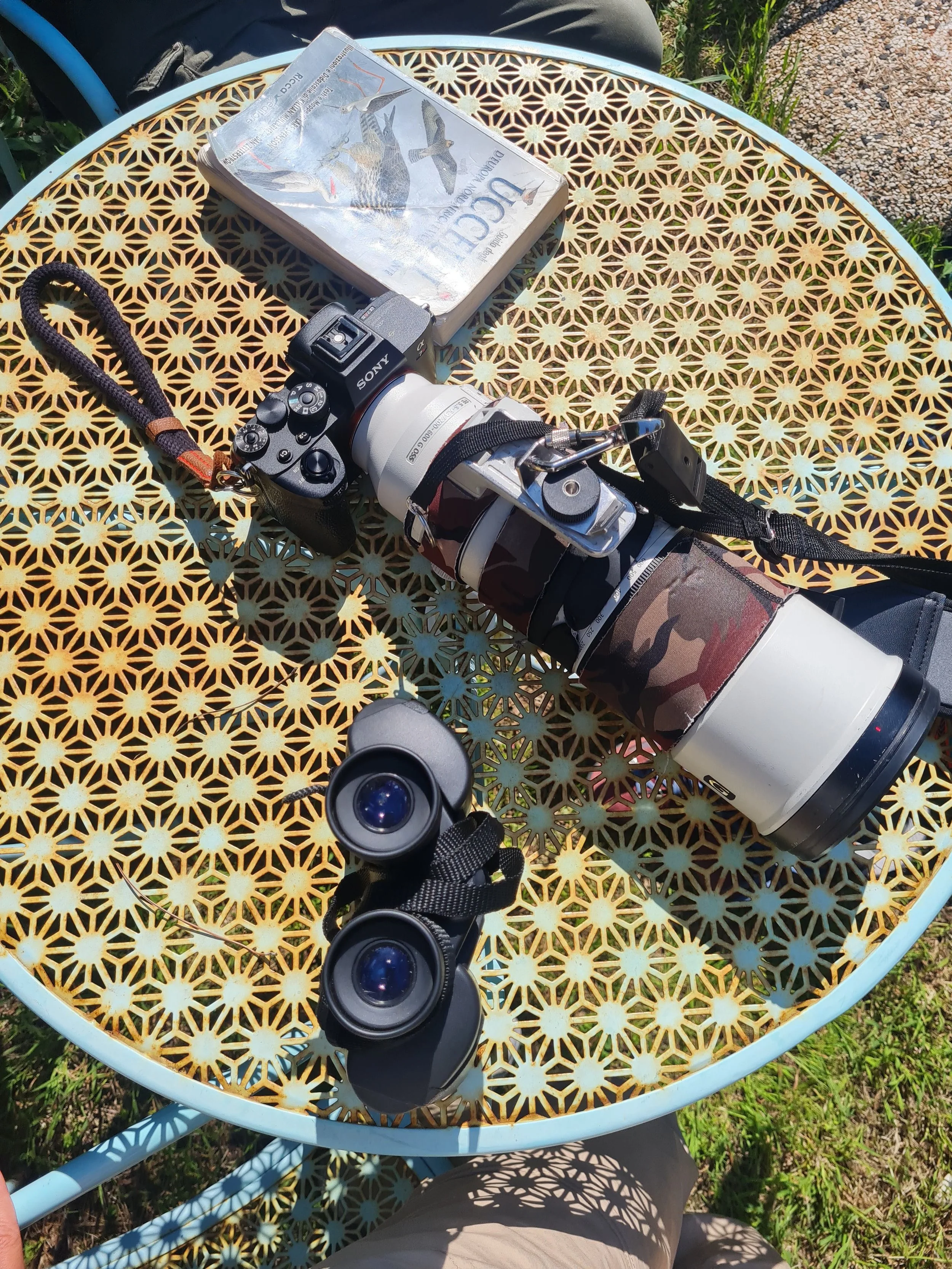 Binocolo, videocamera, binocolo compatto, libro intitolato 'Buceri' o simile, e una macchina fotografica reflex con obiettivo di grandi dimensioni sul tavolo di design metallico soleggiato in un'area esterna.