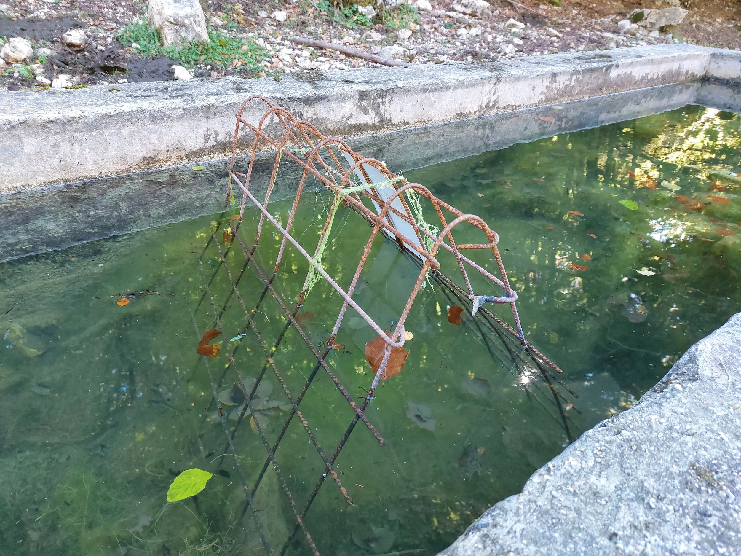 fontanile, montagna, acqua, fontanili, anfibi, ecologia, tradizione