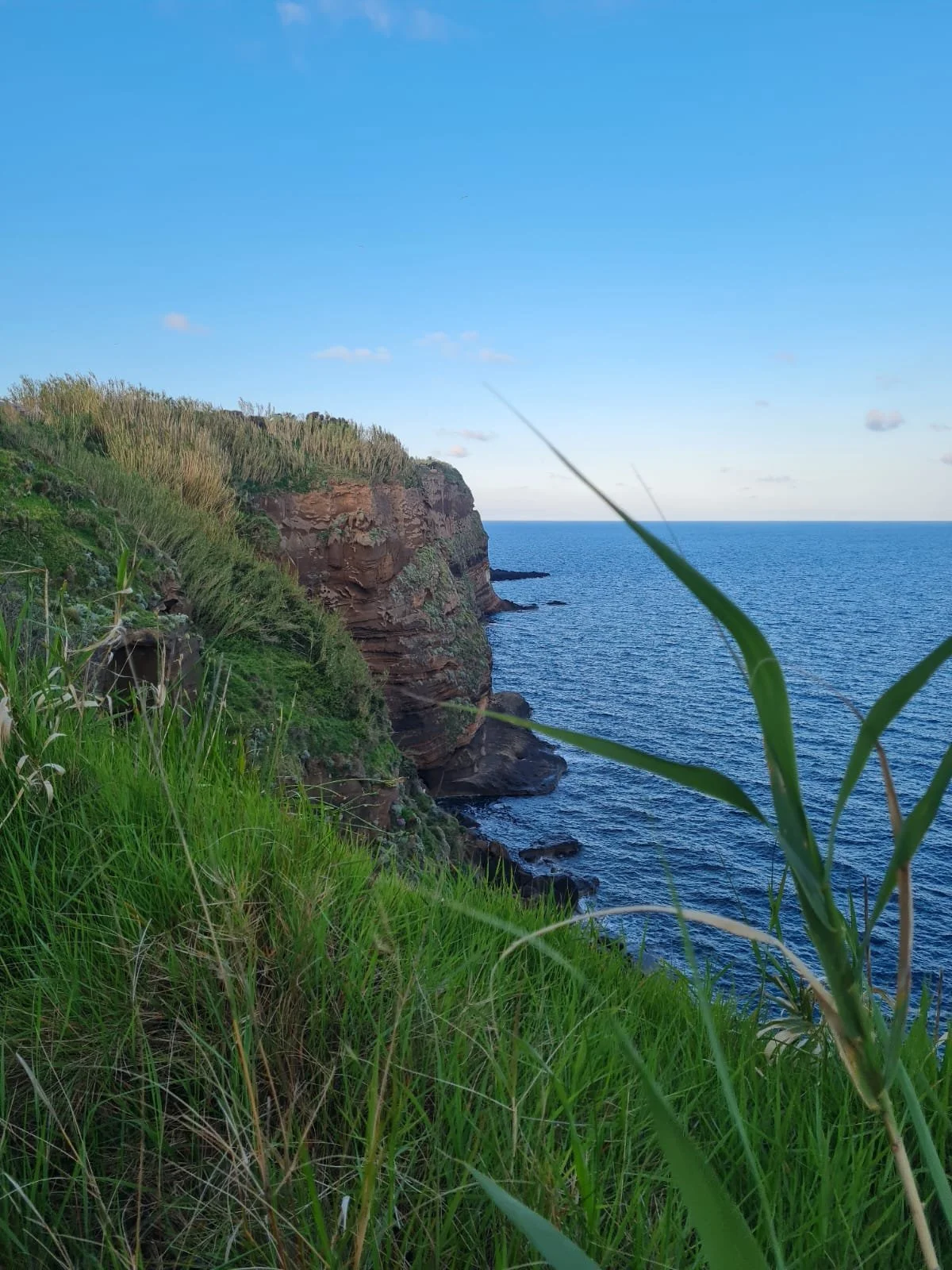 ventotenee, scogli, scogliere, terra, mare, cielo, azzurro, verde, natura, birdwatching, migrazione