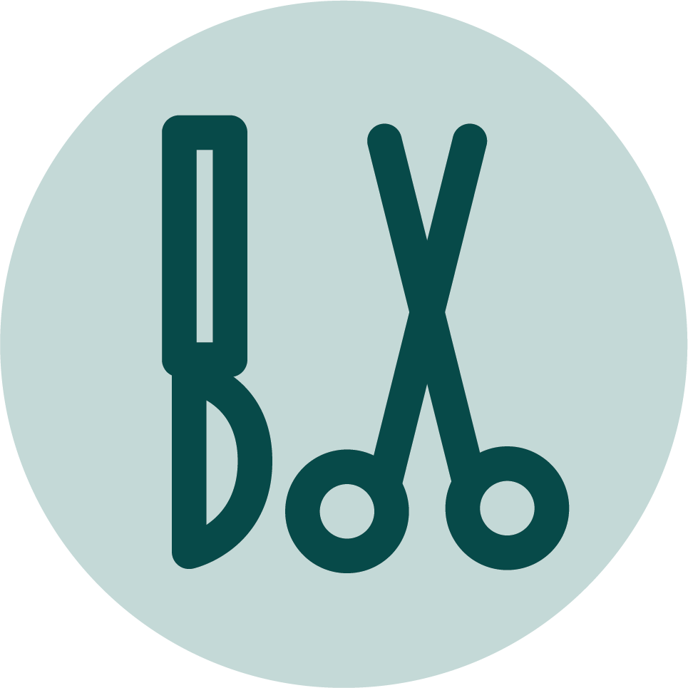 An illustration combining a syringe and a pair of scissors, representing medical or veterinary tools.