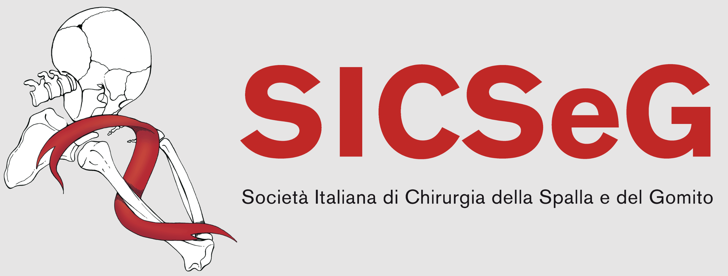 Logo of SICSEG, the Italian Society of Shoulder and Elbow Surgery, featuring a line drawing of a shoulder and elbow joint with highlighted muscles or tendons in red, and the text 'SICSEG' in large red letters with the subtitle 'Società Italiana di Chirurgia della Spalla e del Gomito' in black.