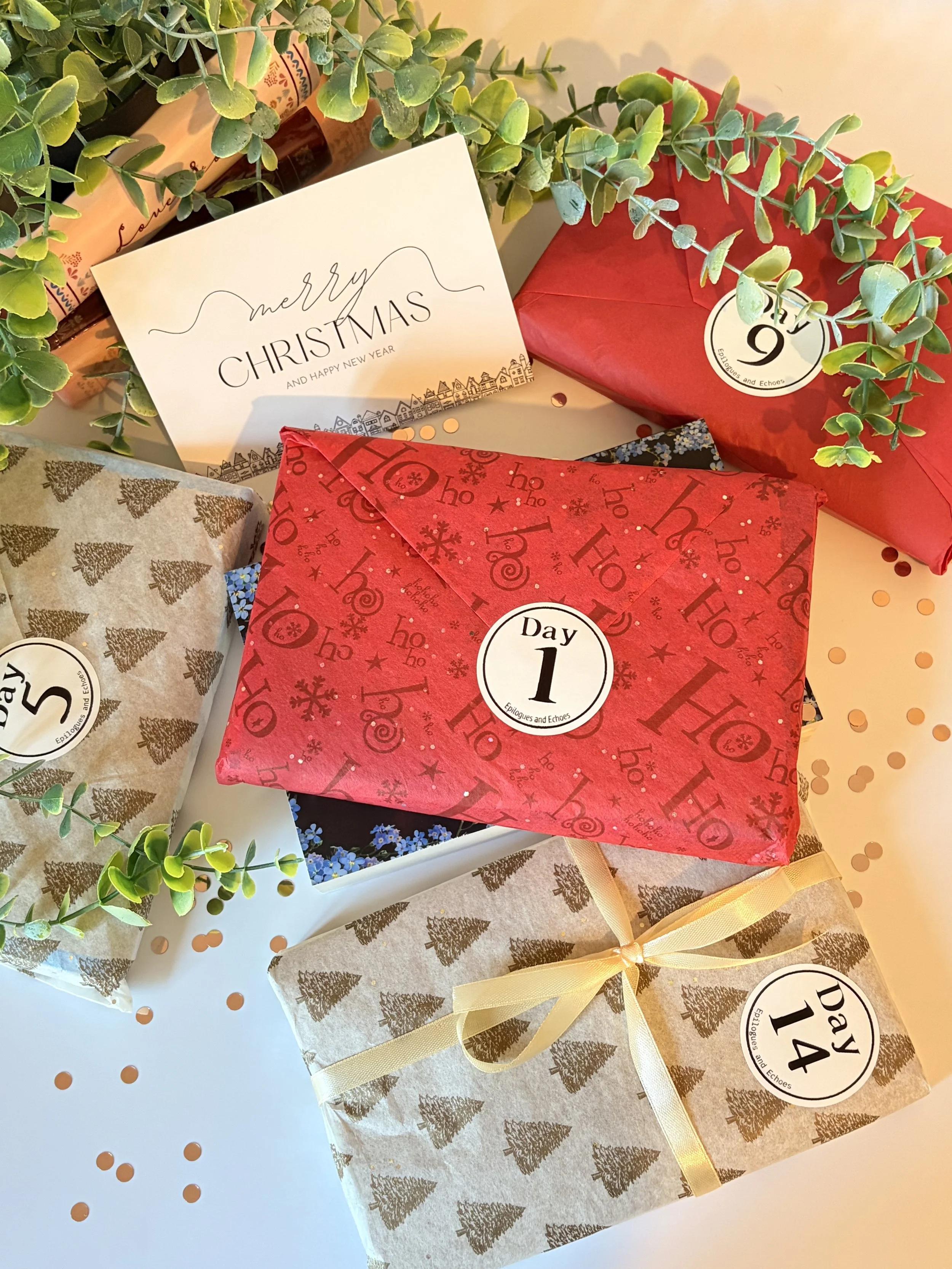 12 Day Book Advent Calendar | Blind Date with a Book | Christmas Book Box
