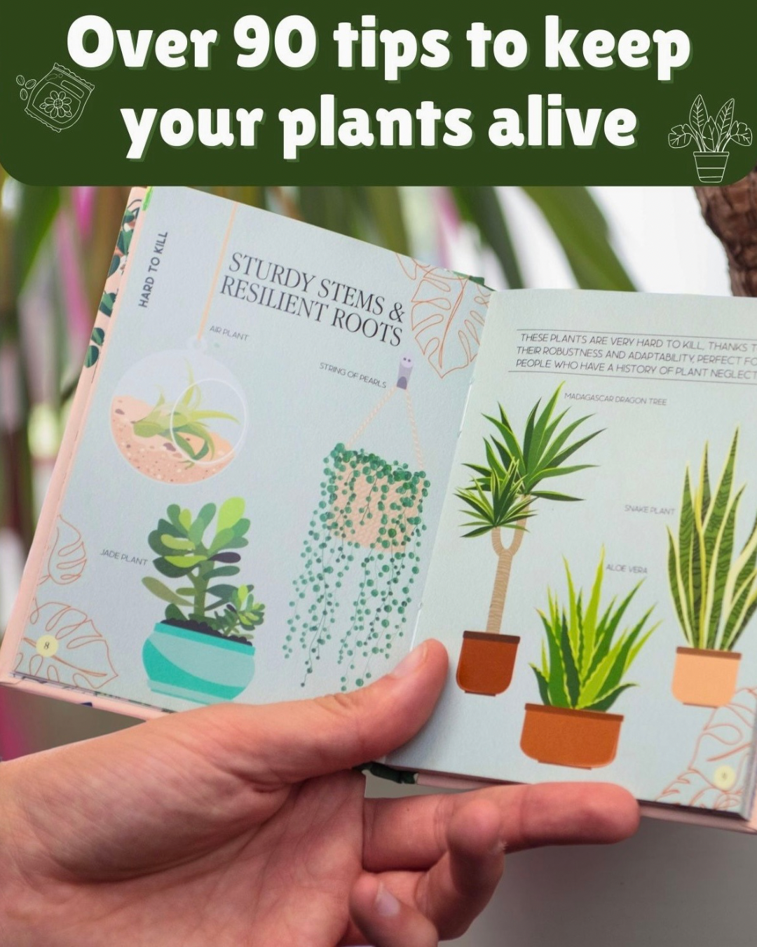 Plant mister - 2.png