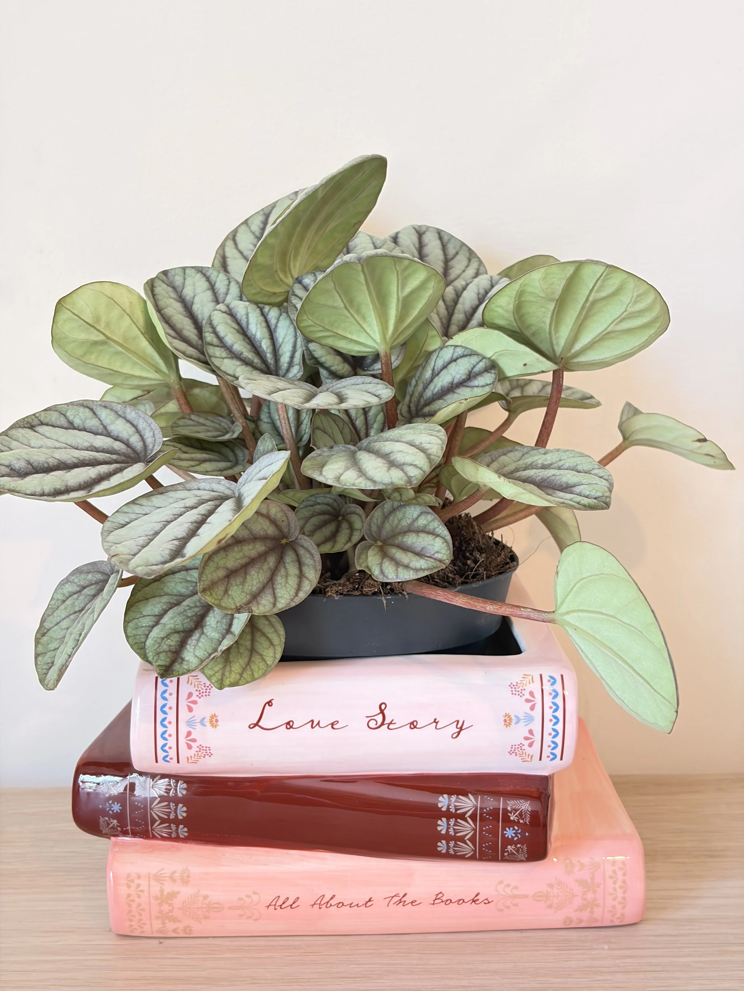 Lisa Angel Stack of Books Ceramic Planter