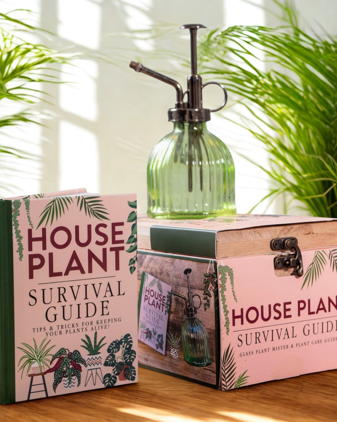 House Plant Survival Guide Gift Box