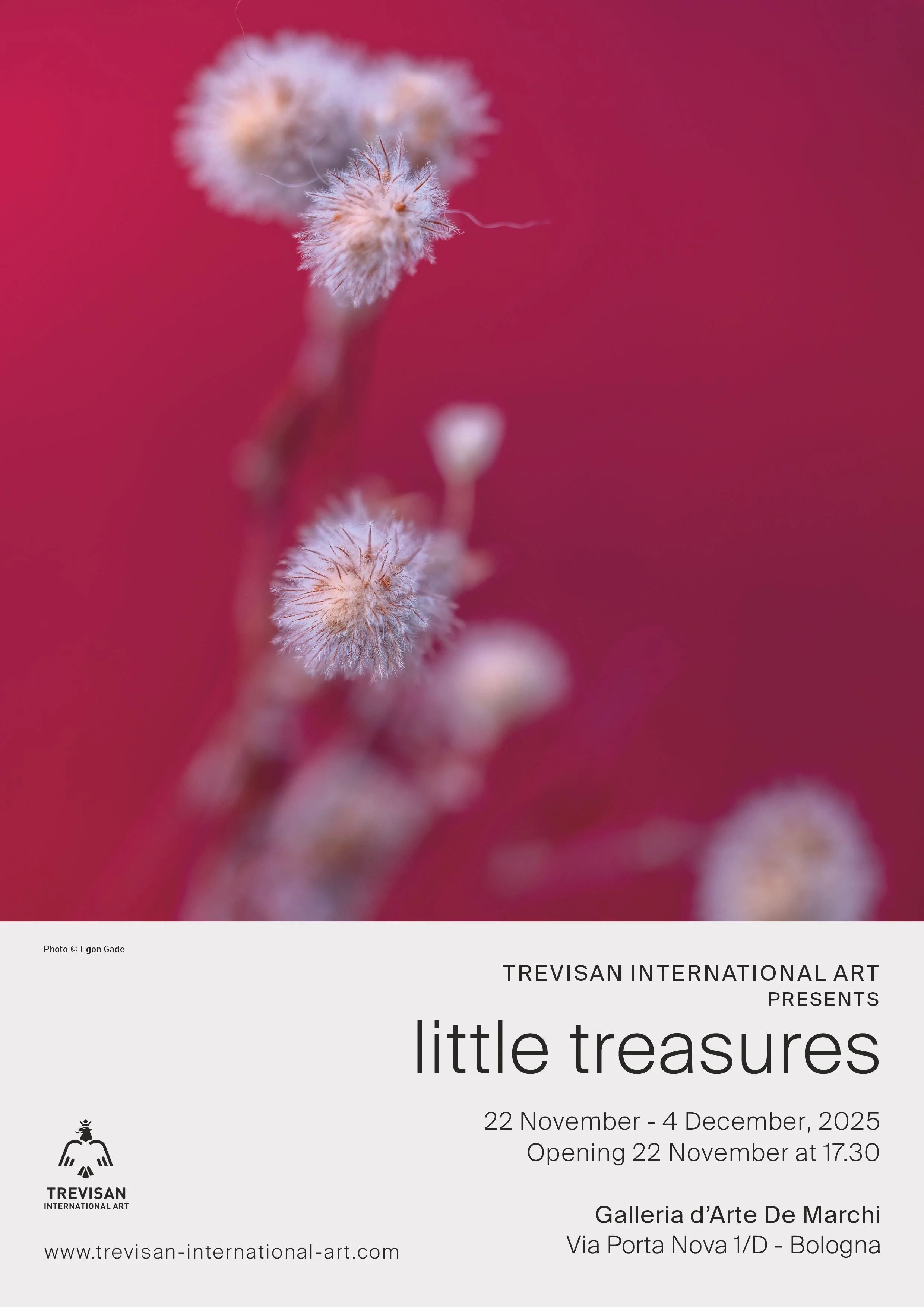TIA Little treasures