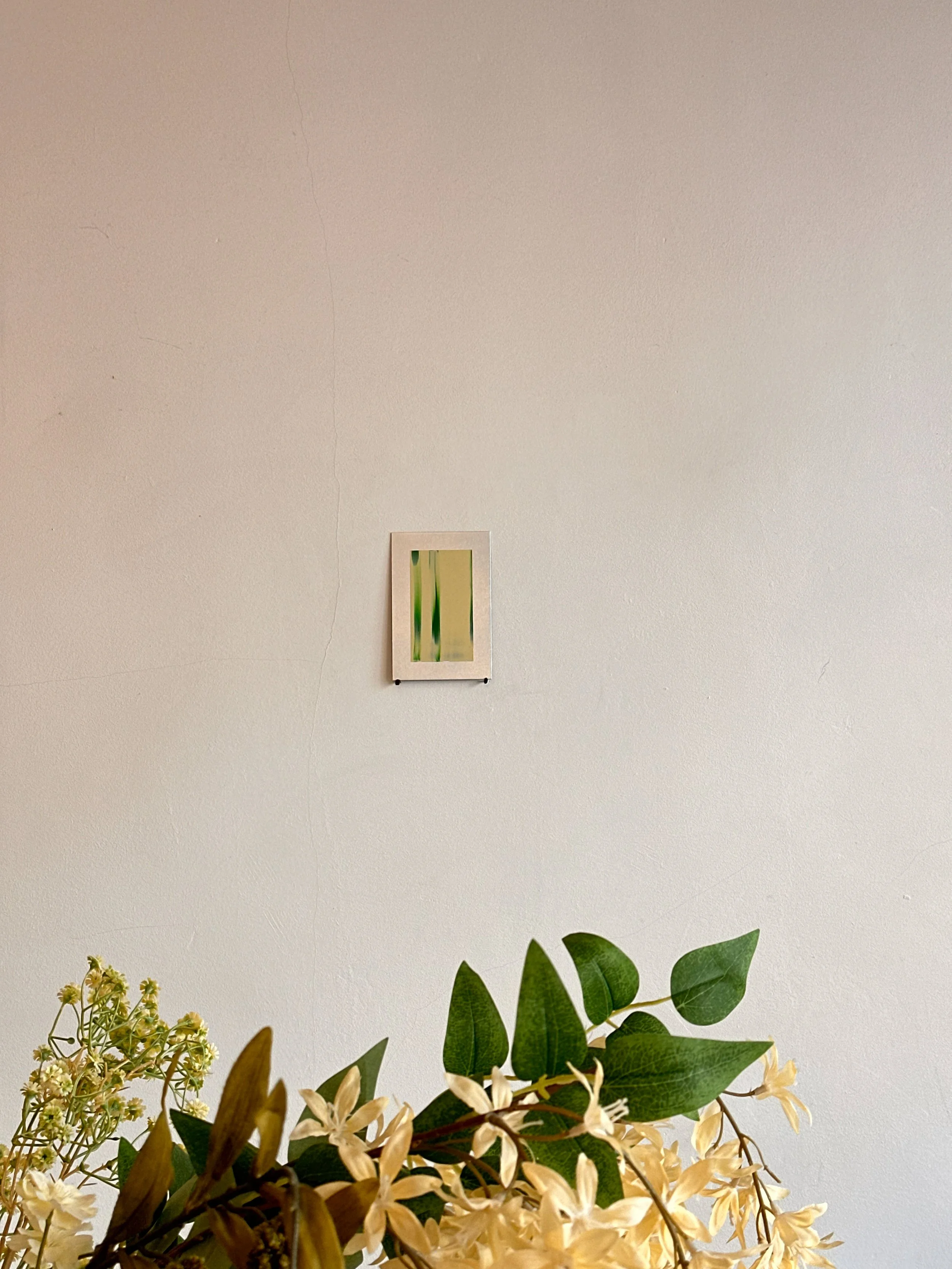 image00007.jpg