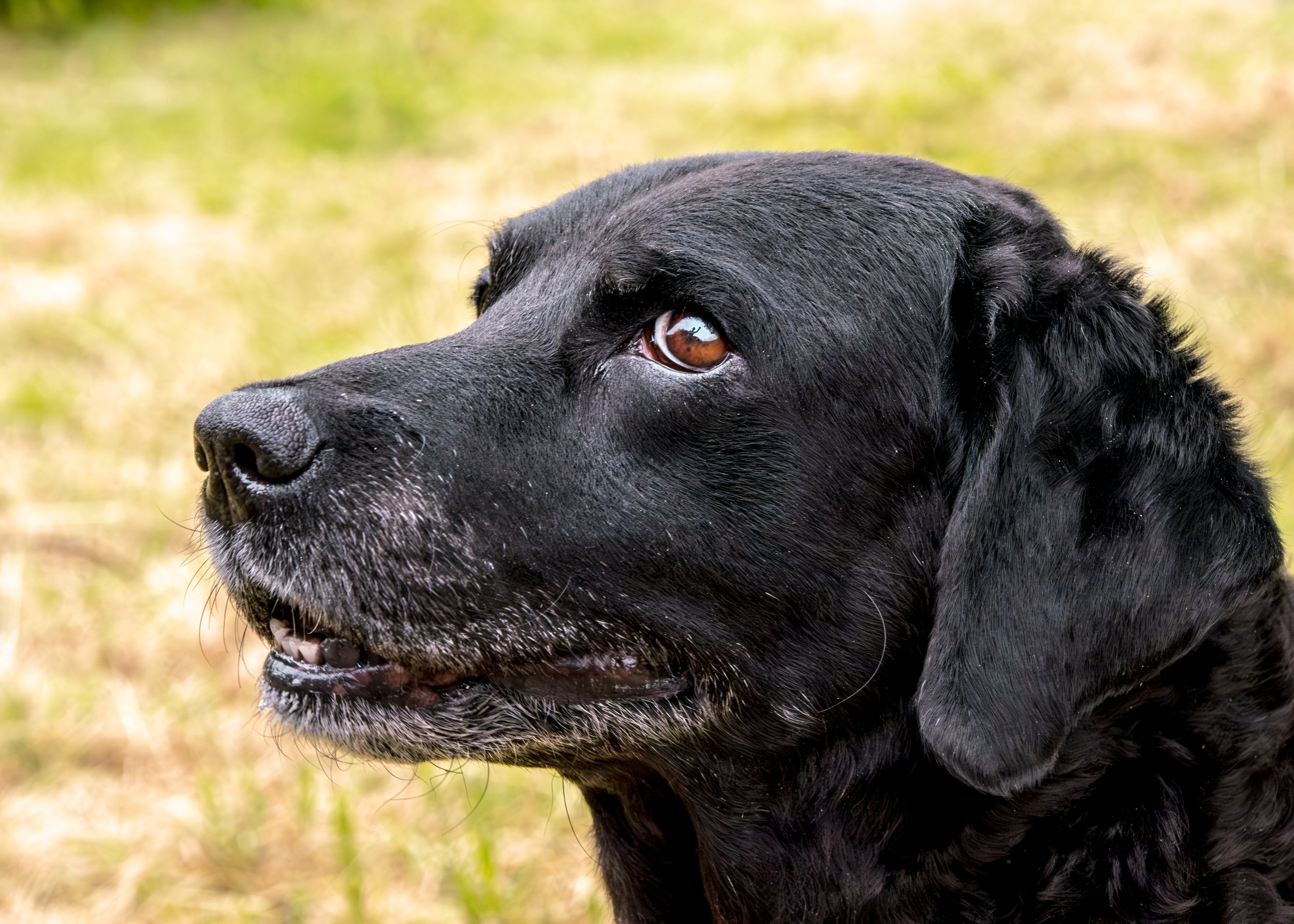 Milly & Peggy-10.jpg