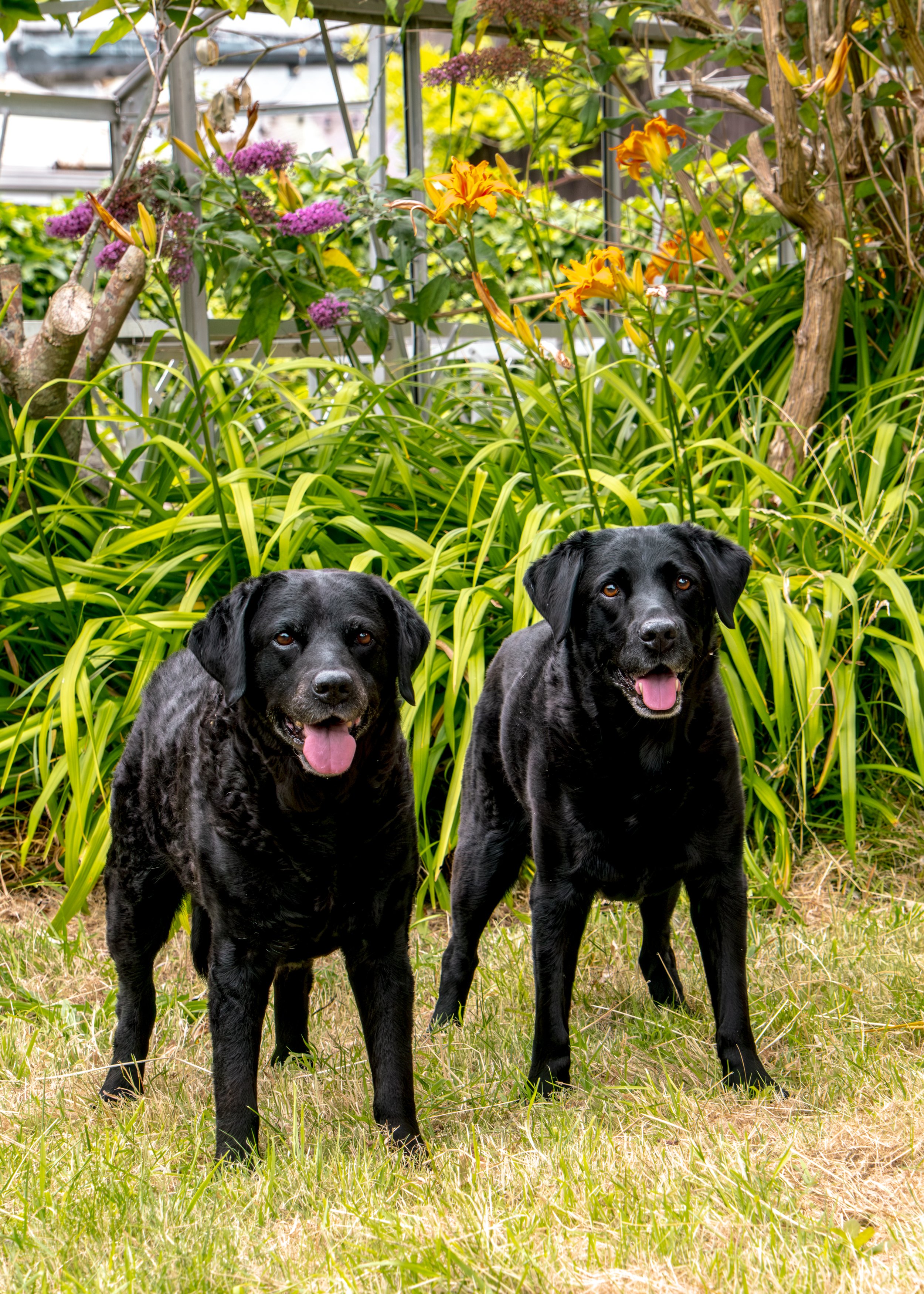 Milly & Peggy-13.jpg