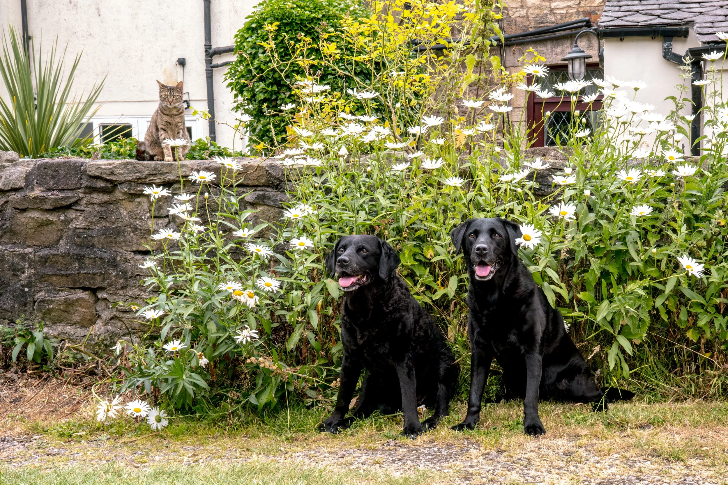 Milly & Peggy-30.jpg