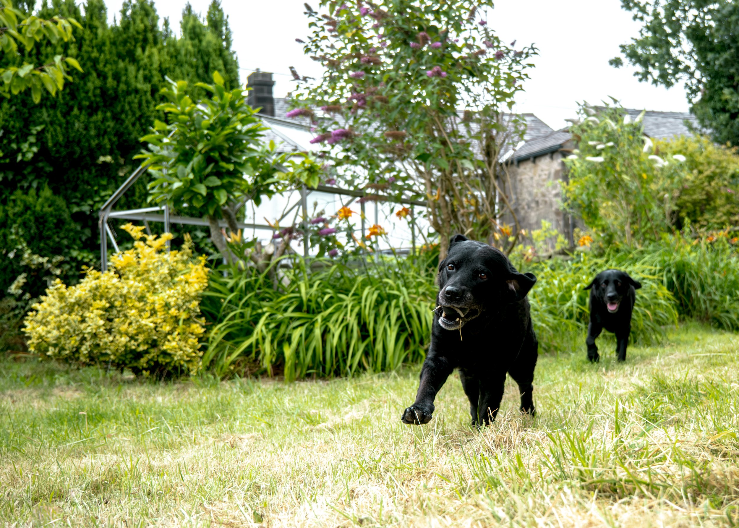 Milly & Peggy-2.jpg