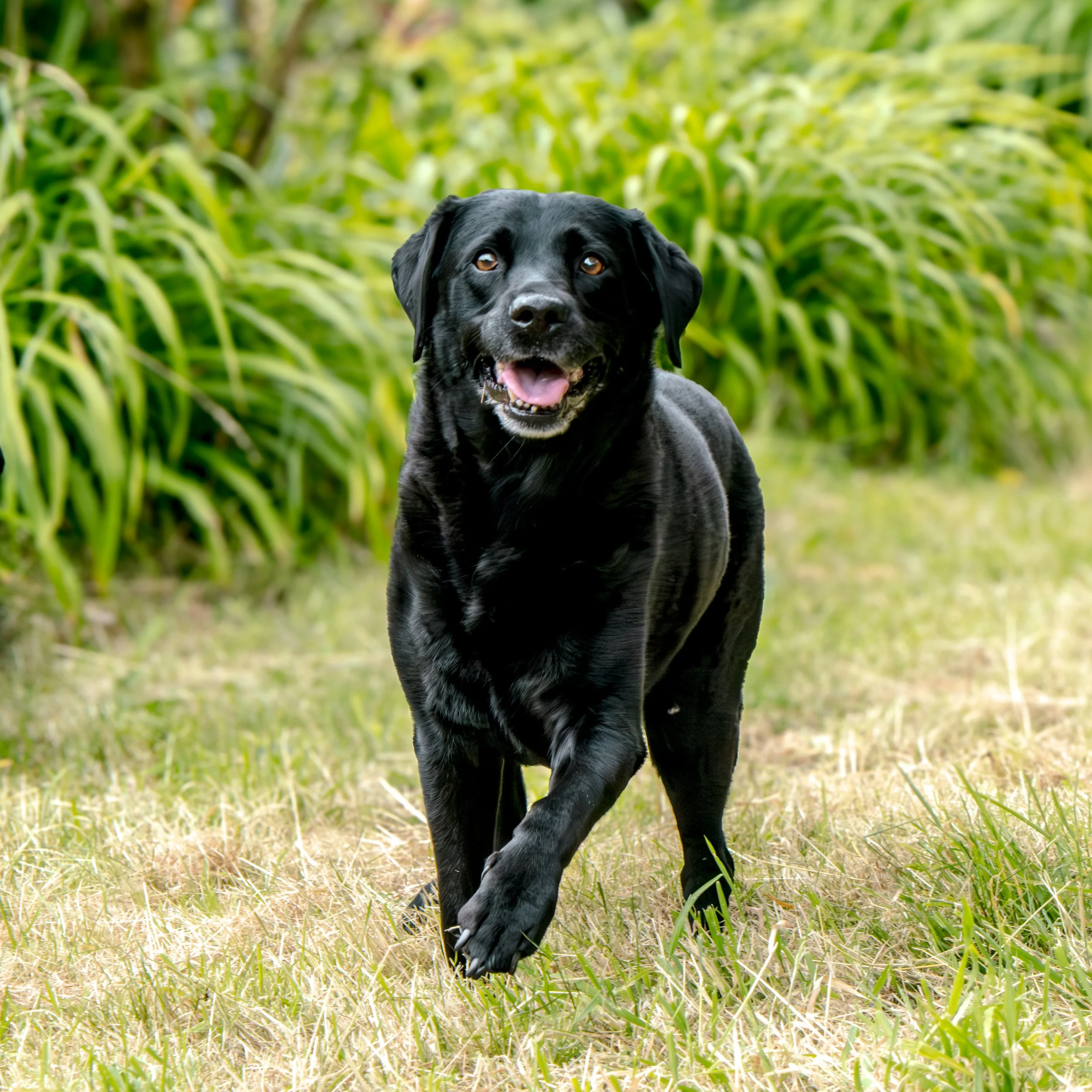 Milly & Peggy-4.jpg