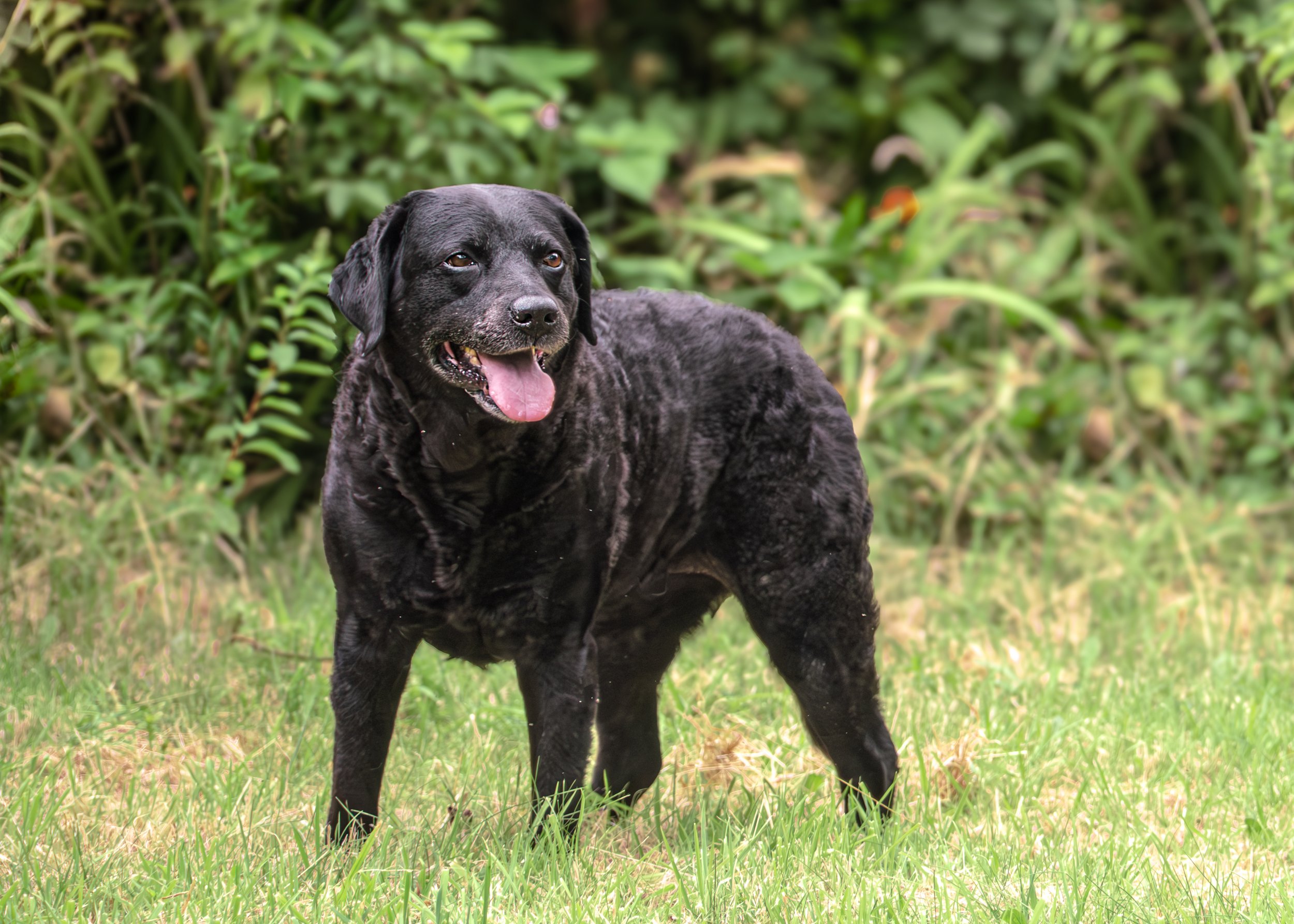 Milly & Peggy-17.jpg