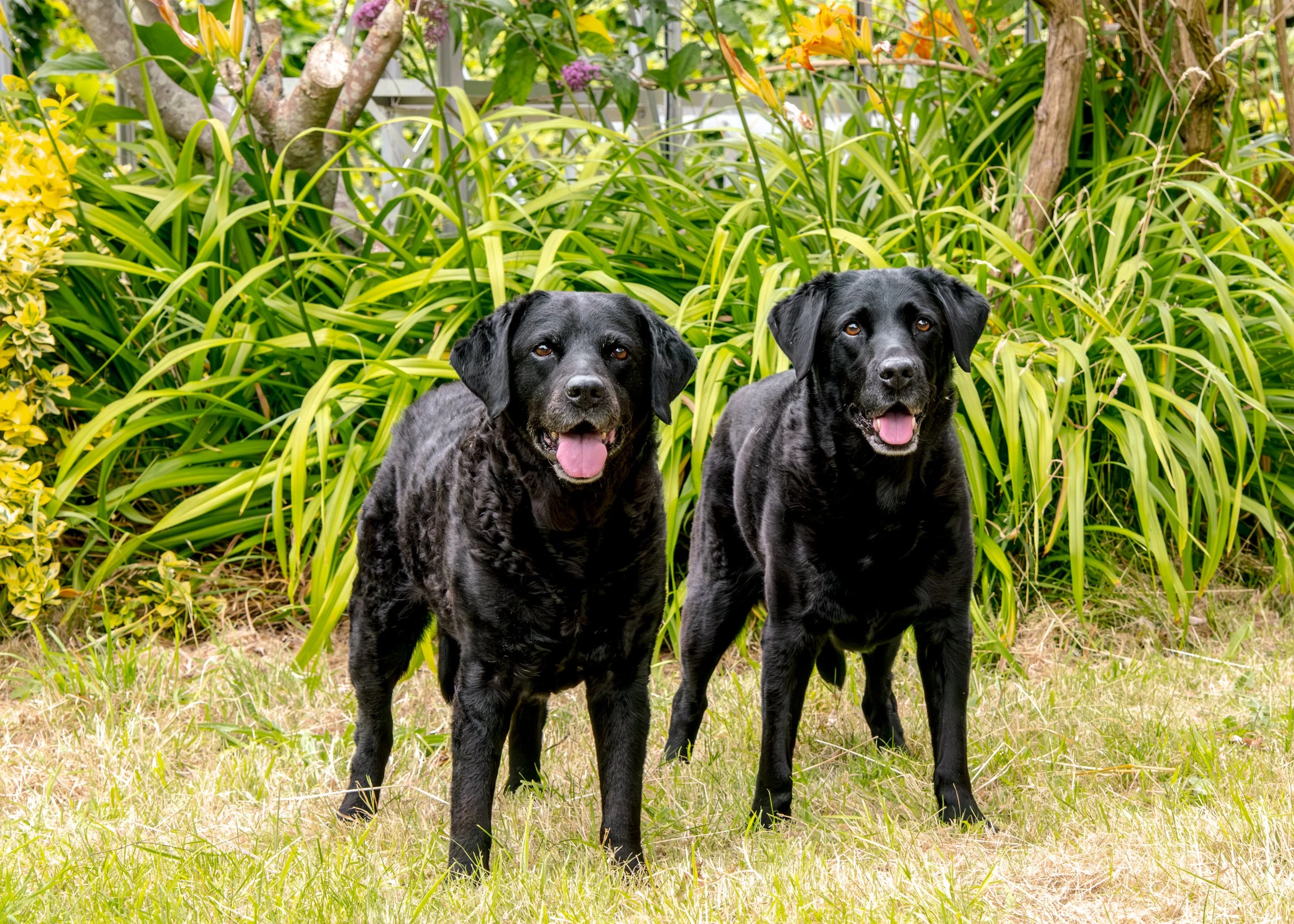 Milly & Peggy-14.jpg