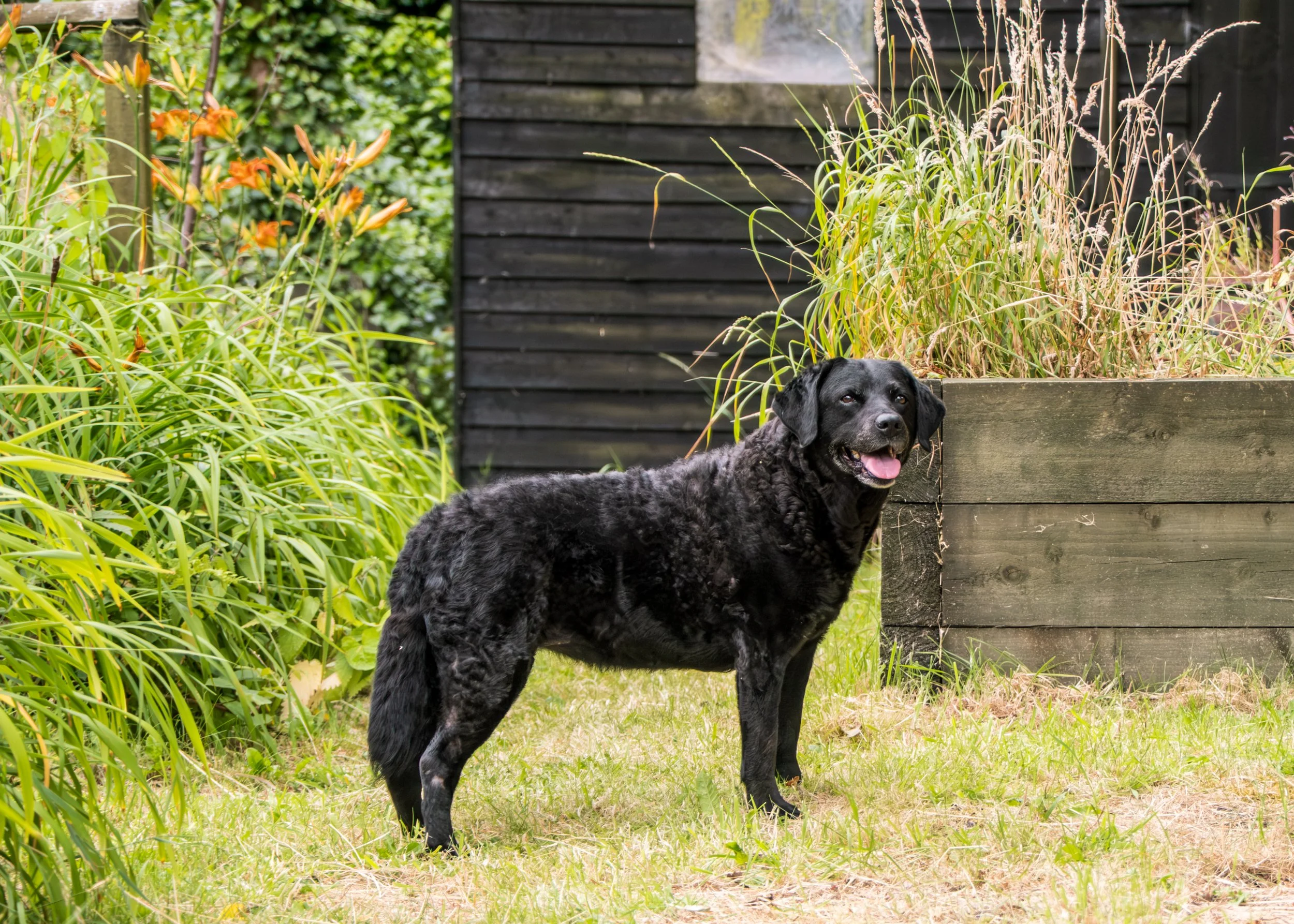 Milly & Peggy-16.jpg