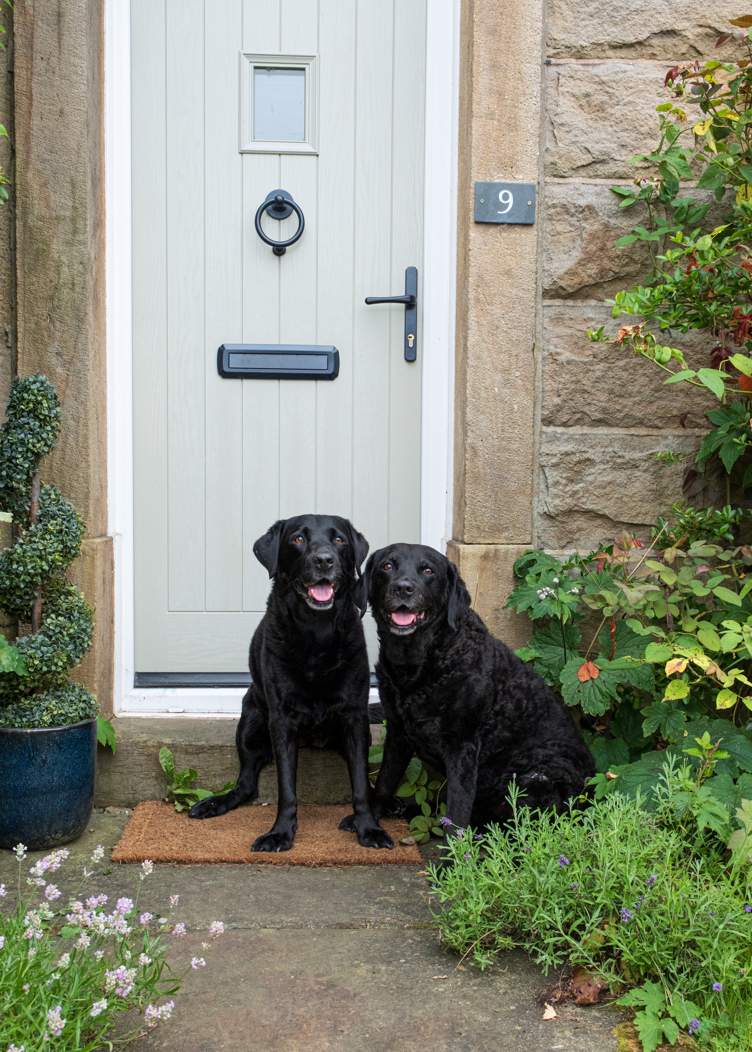 Milly & Peggy-33.jpg