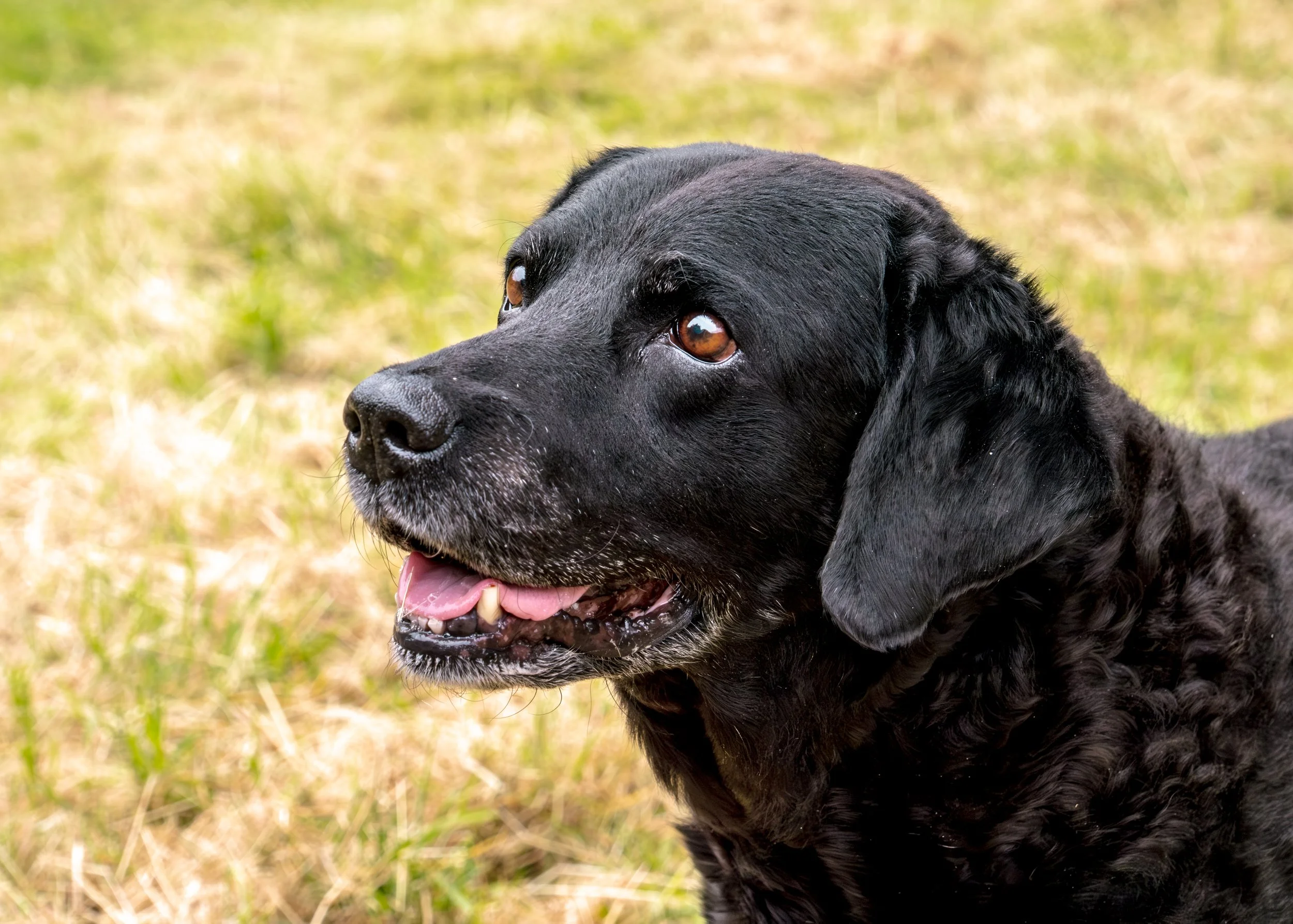 Milly & Peggy-8.jpg