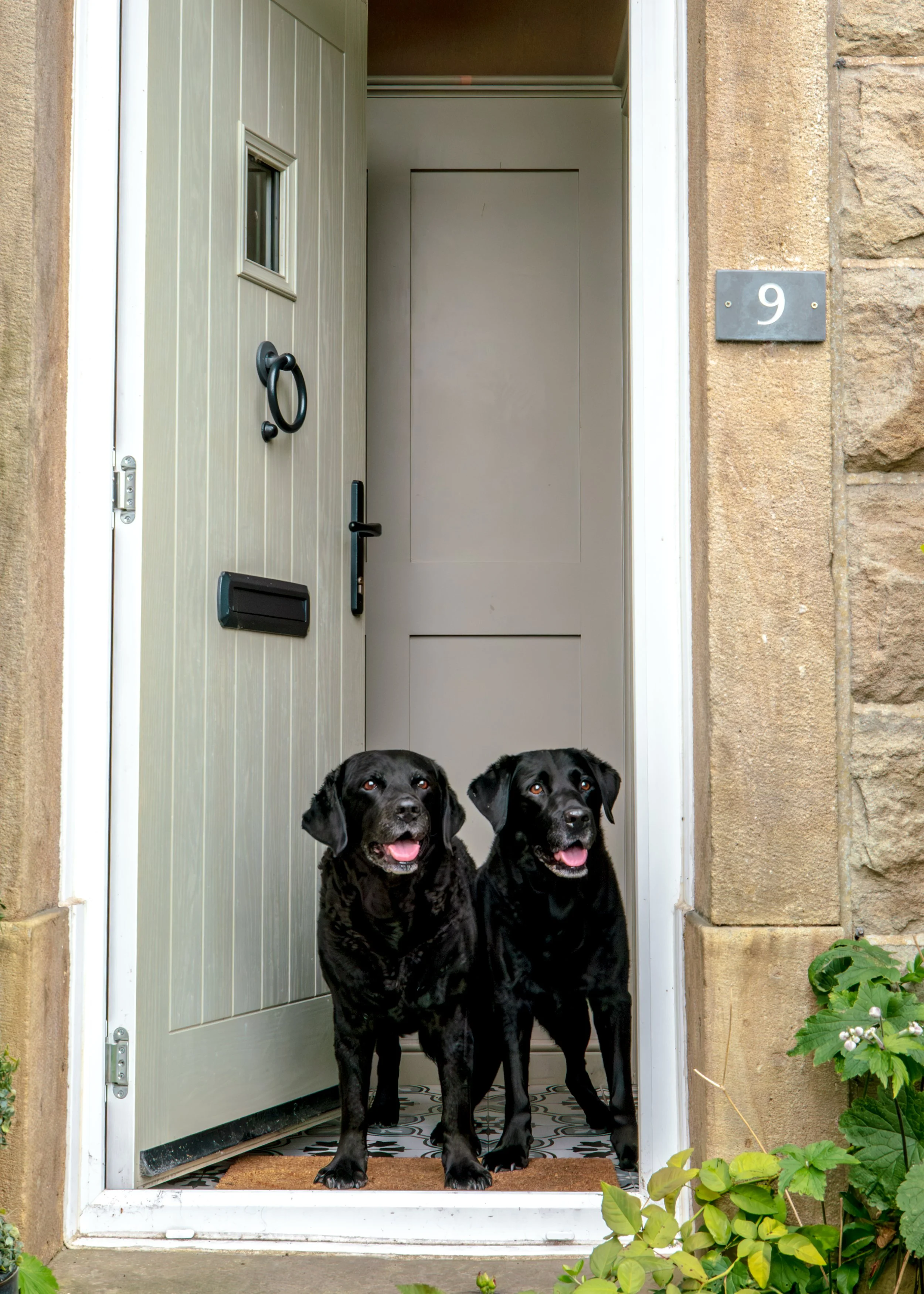 Milly & Peggy-32.jpg
