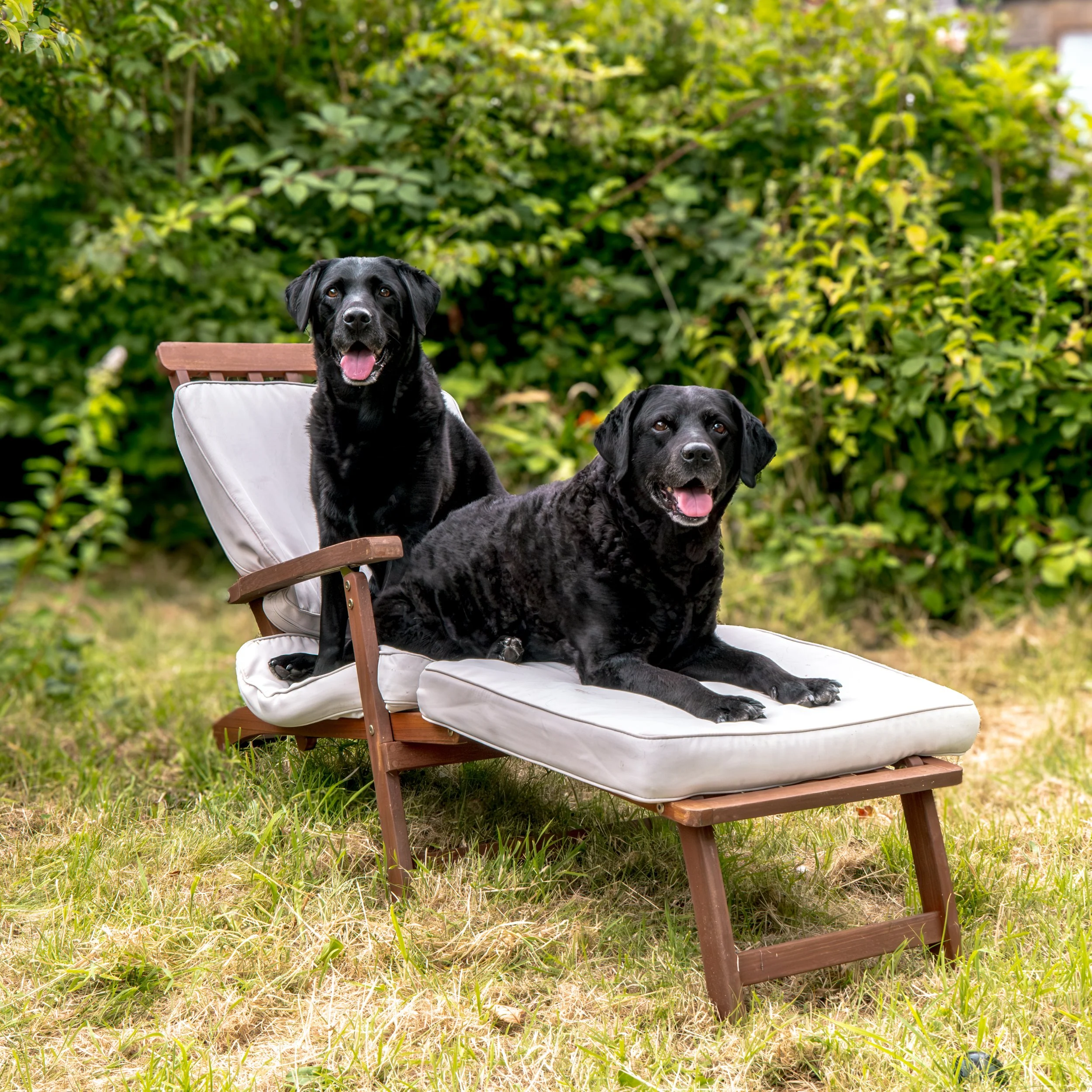 Milly & Peggy-27.jpg