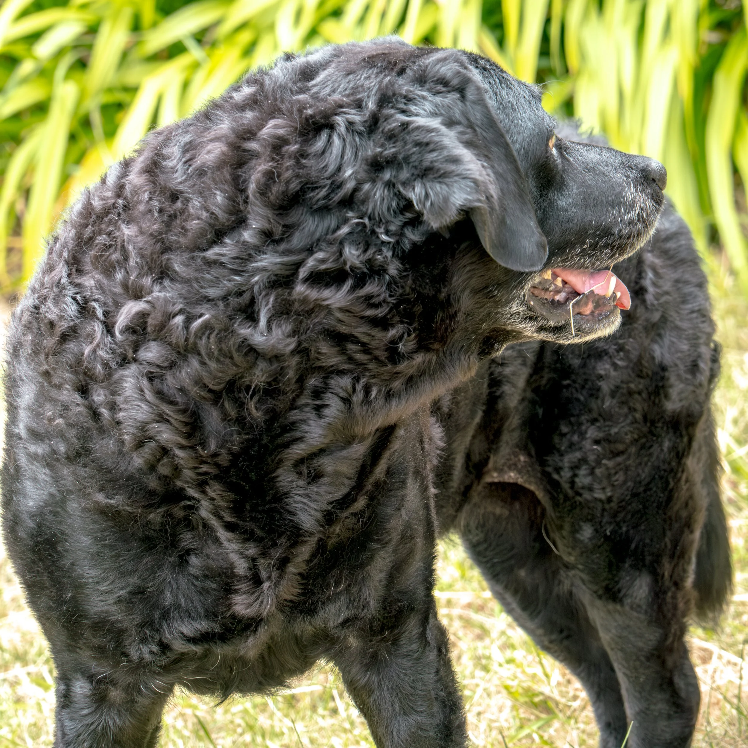 Milly & Peggy-24.jpg