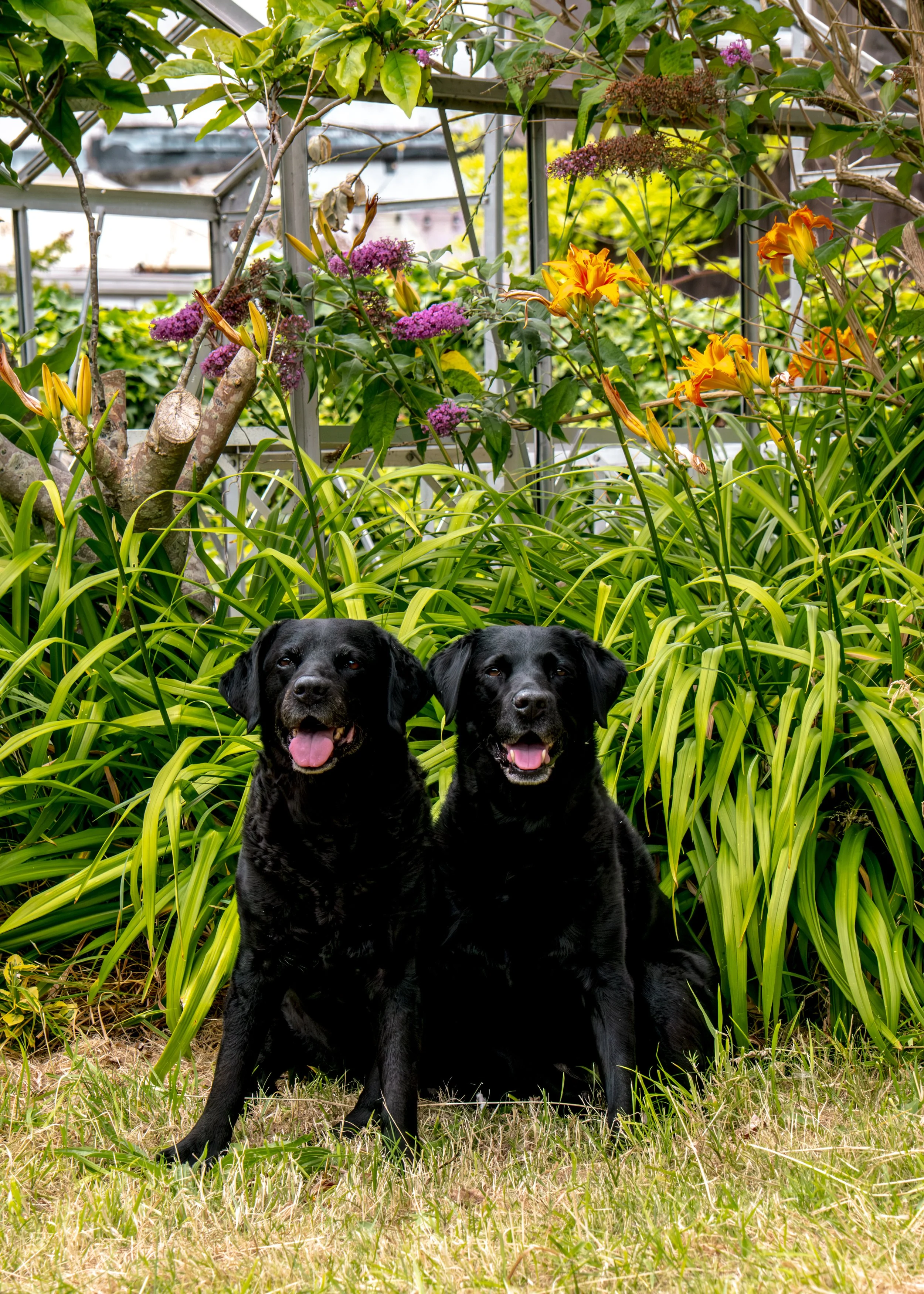 Milly & Peggy-12.jpg