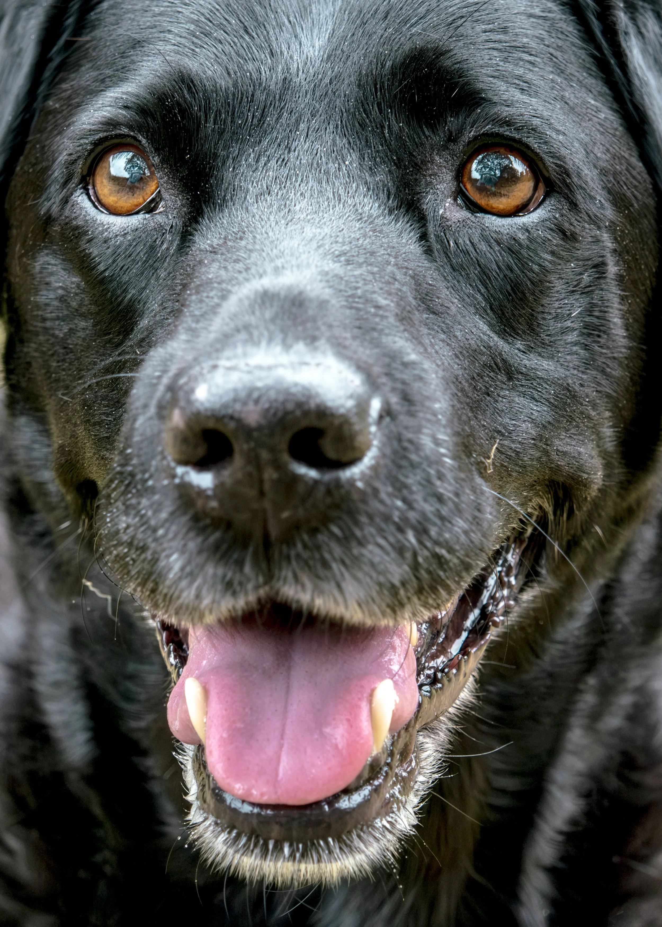 Milly & Peggy-19.jpg