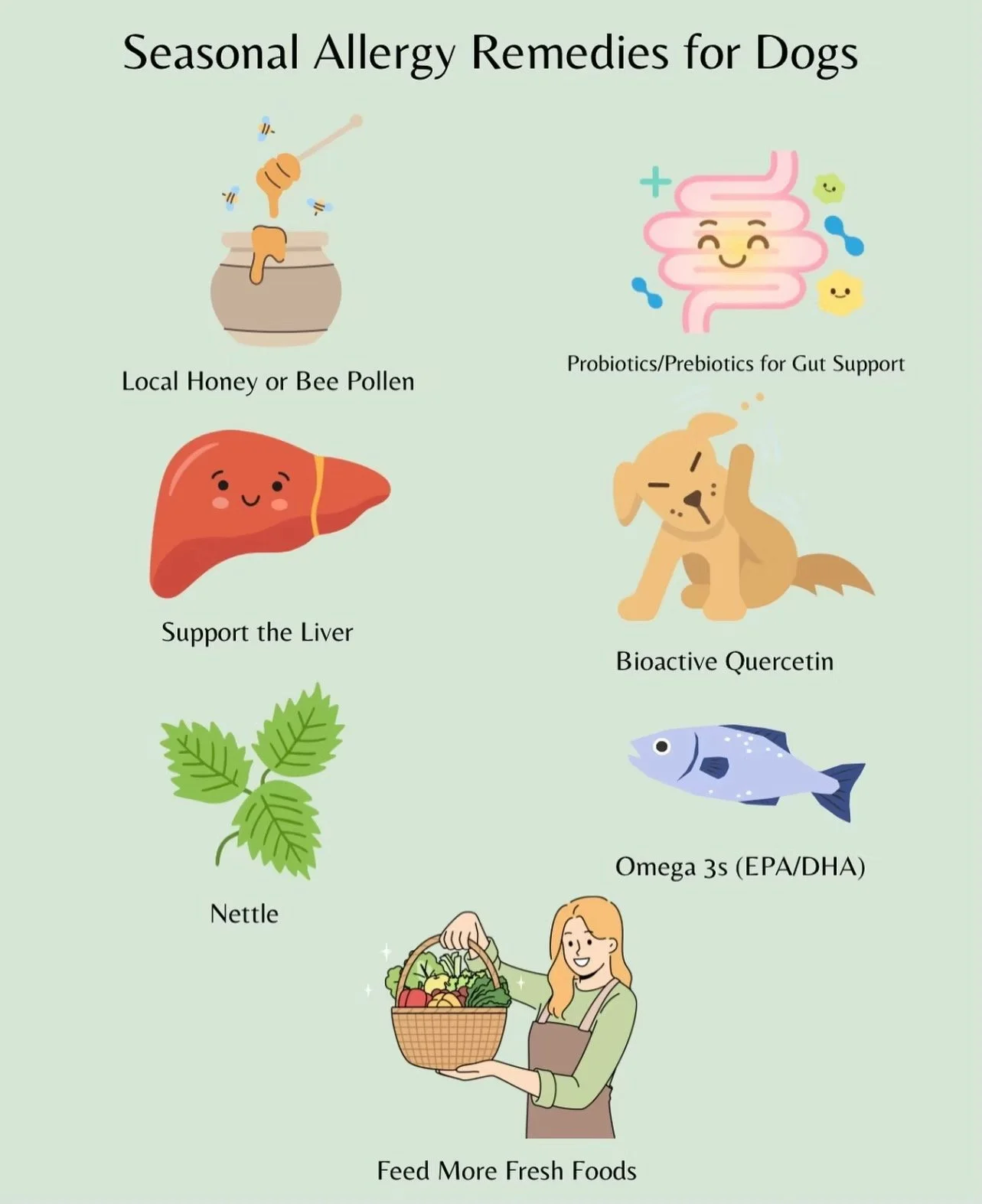Natural and Effective Seasonal Allergy Remedies for Dogs